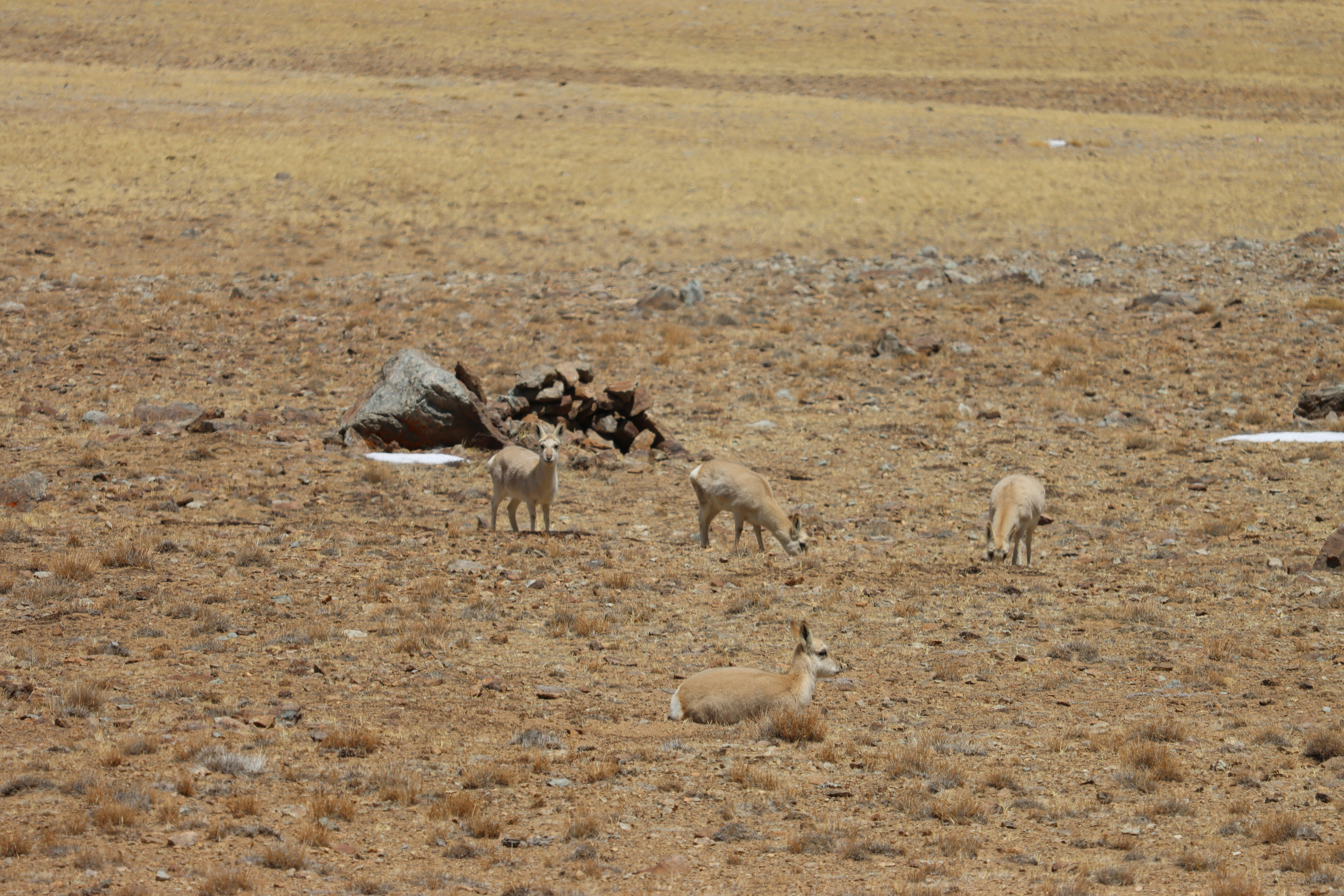 Photo by leoearthancha