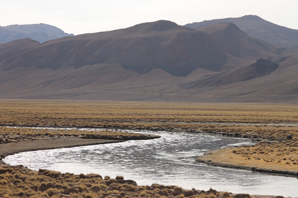 a river running through a desert landscape with mountains in the background