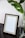 An empty picture frame with a black outer border and a lighter wood inner border, resting on a dark wooden surface. Next to the frame is a clear glass vase containing green leaves, adding a touch of nature to the setting. A textured white wall serves as the background.