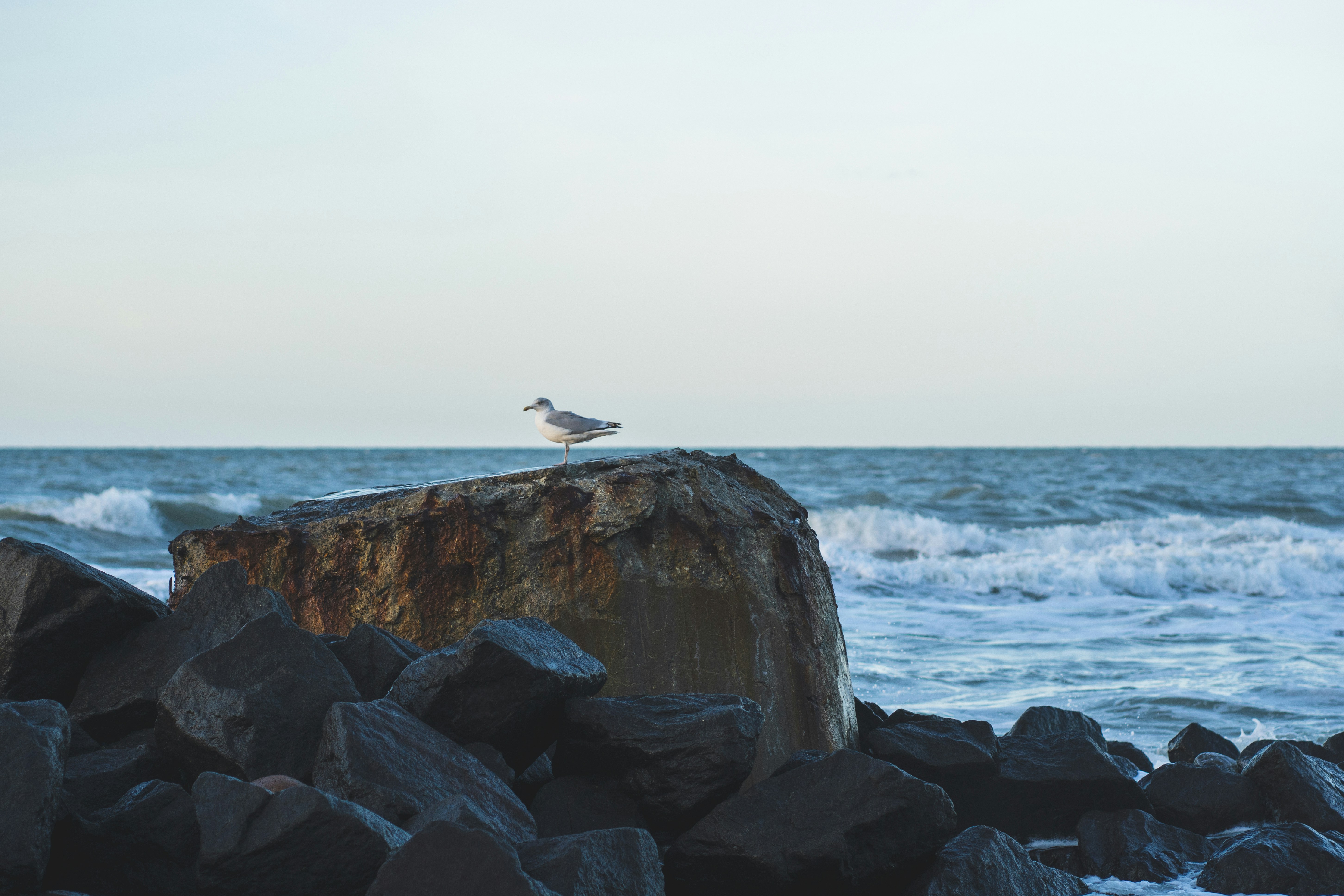 Photo by tomekstudio