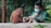 A person wearing a mask and a green uniform gently holds a baby orangutan while sitting next to another orangutan. The setting appears to be a zoo or animal sanctuary with lush greenery in the background.