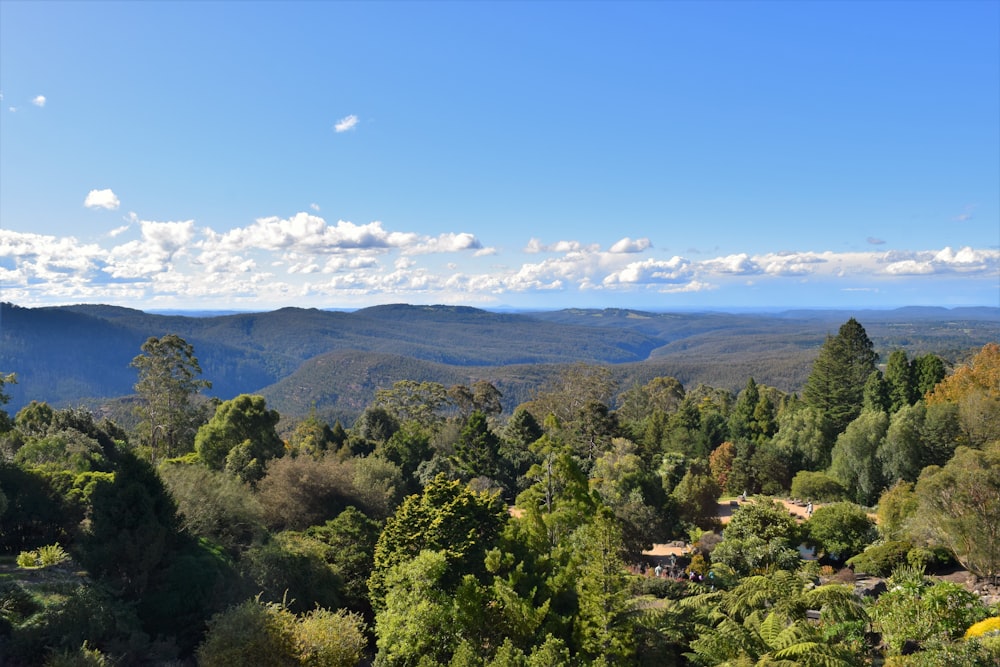 a scenic view of a forest with mountains in the background