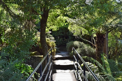 A serene outdoor pathway surrounded by greenery leading to the day care center.