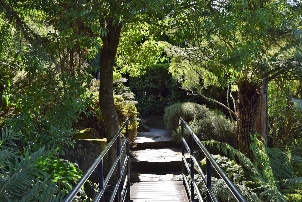 a set of stairs leading to a lush green forest