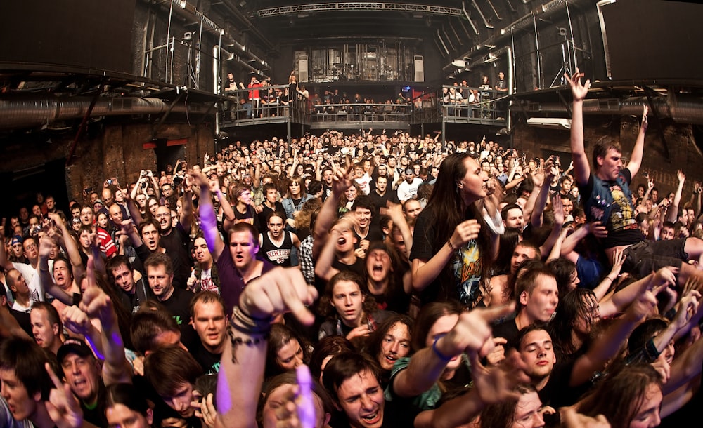 a large group of people at a concert