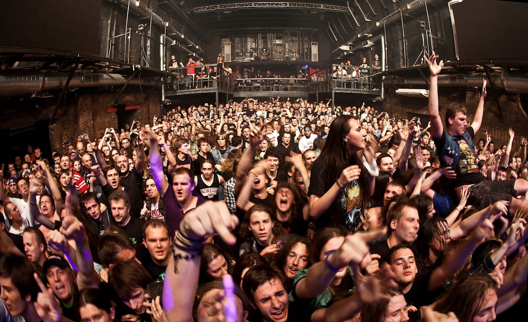 a large group of people at a concert, 