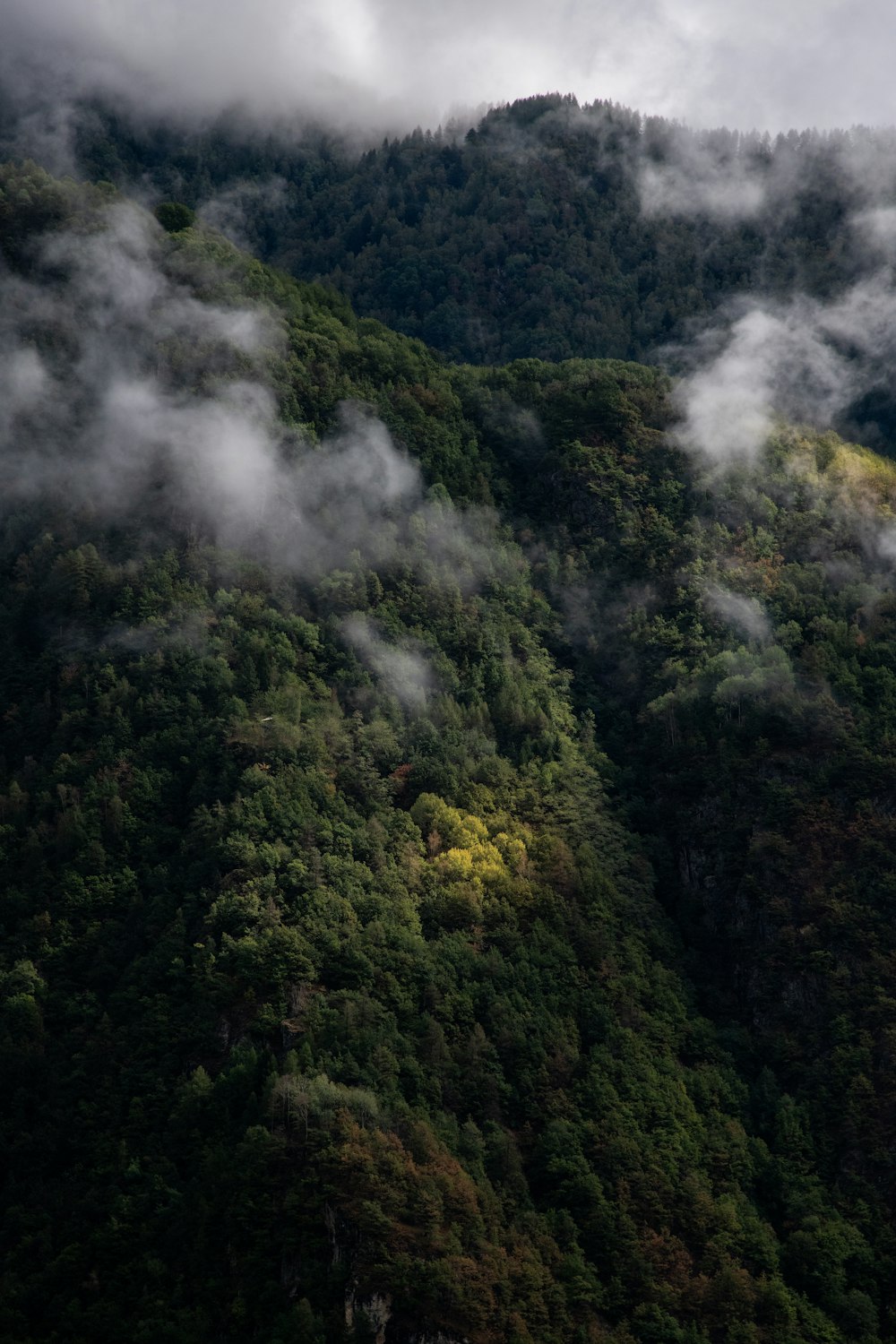 a plane flying over a lush green forest covered hillside