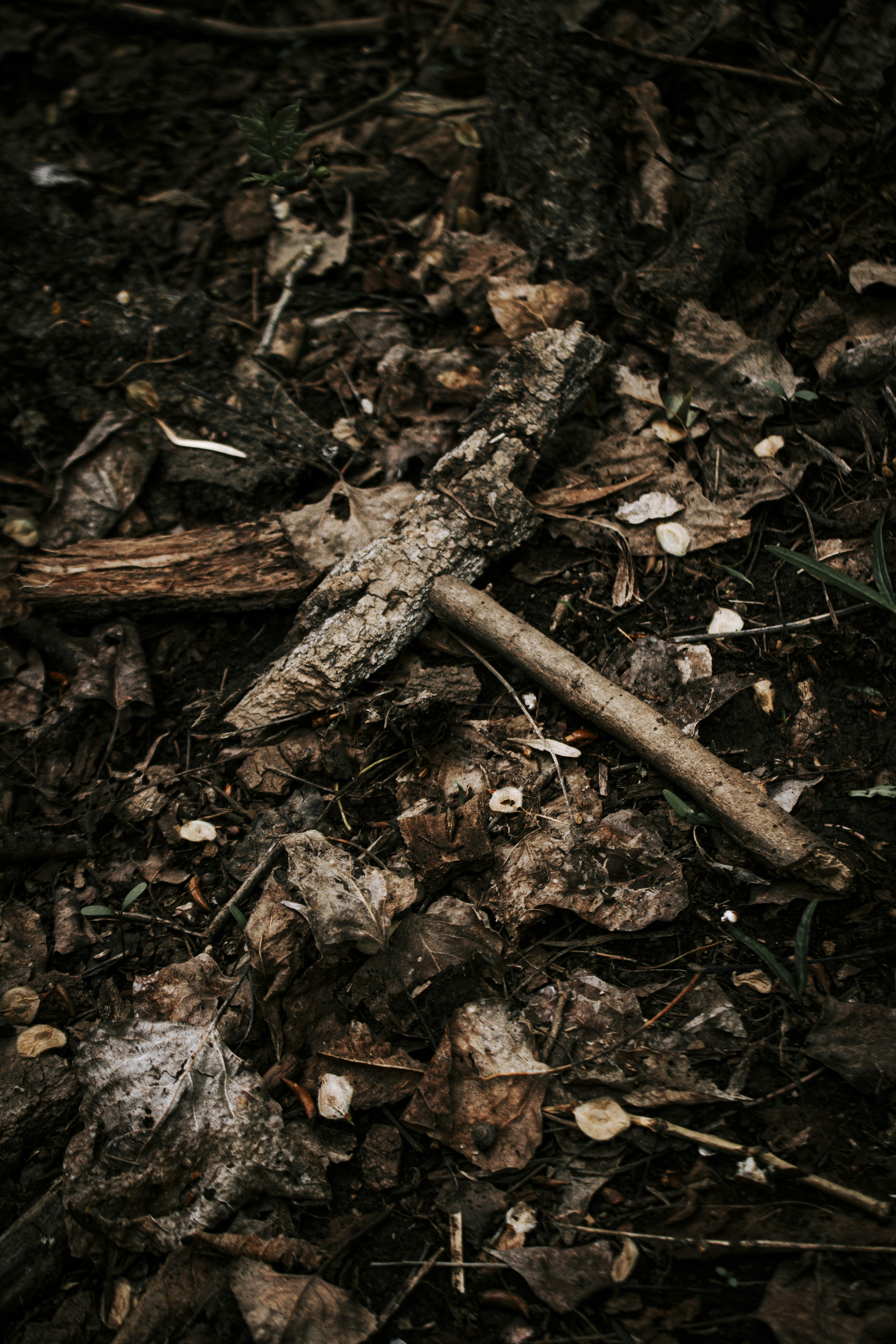 Photo by mr_papricka