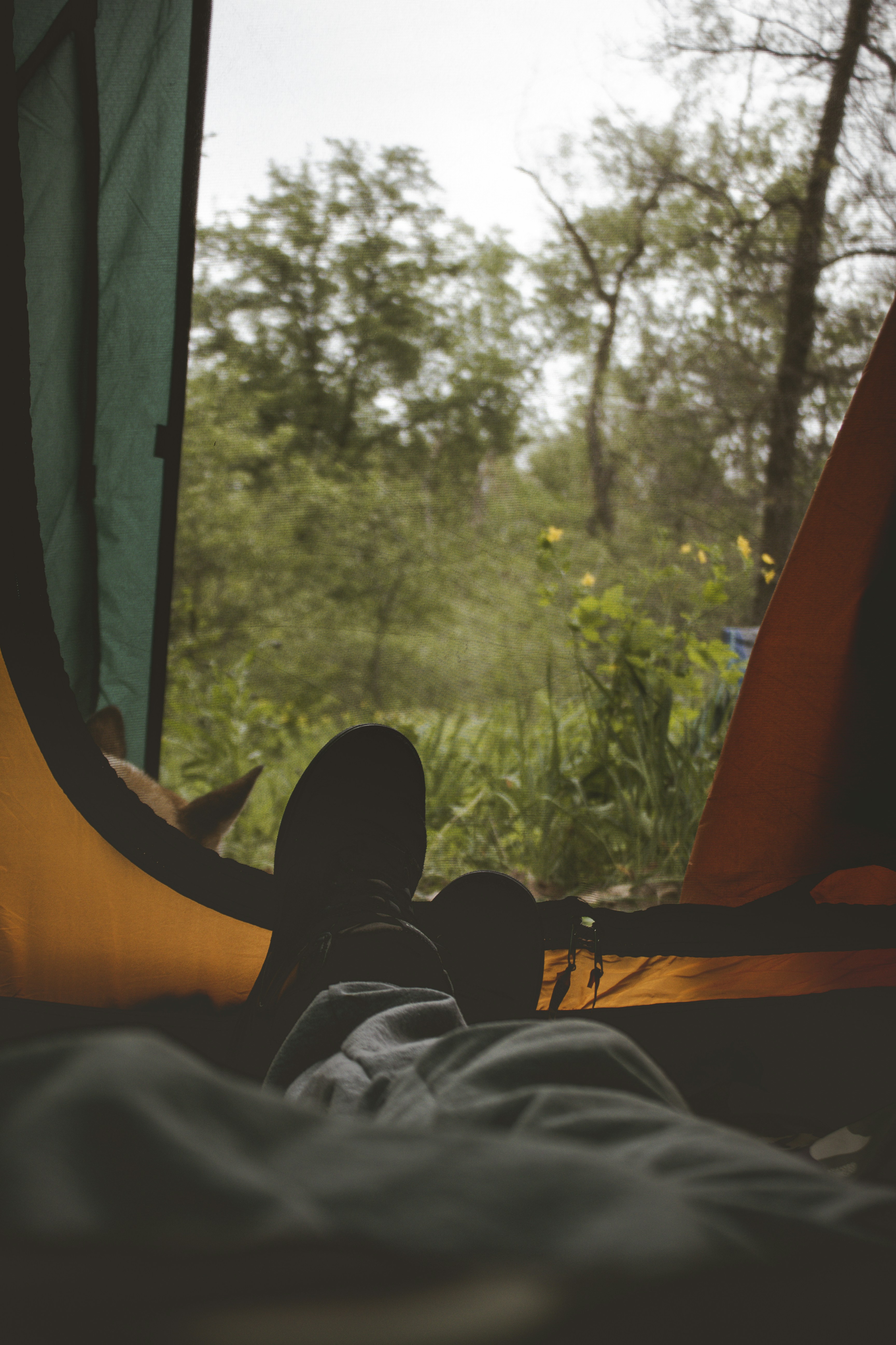 Photo by mr_papricka