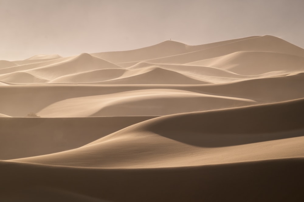 사막에 있는 큰 모래 언덕