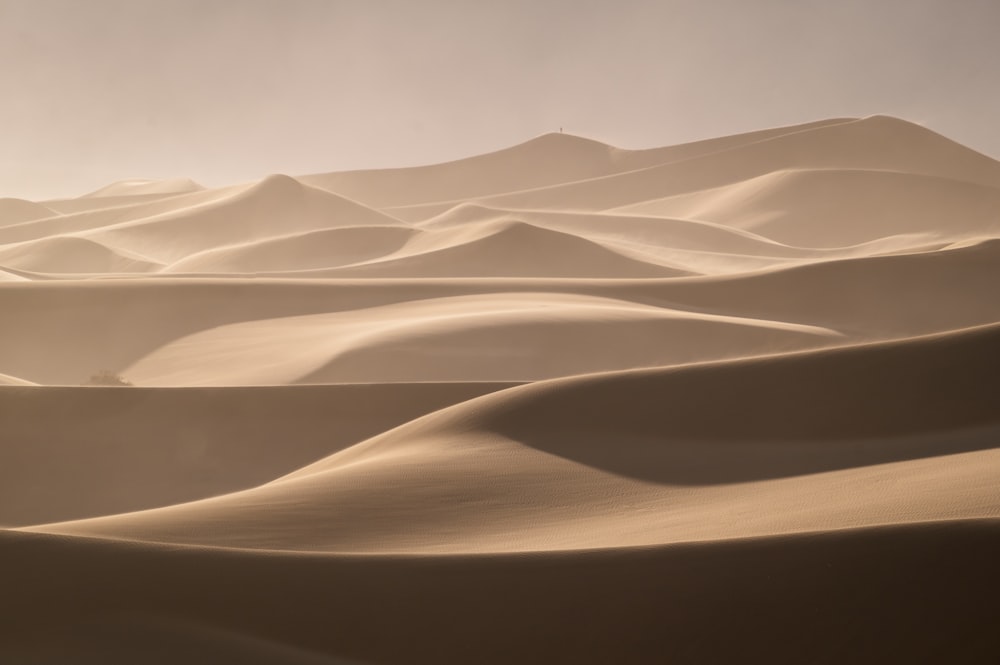 a large group of sand dunes in the desert