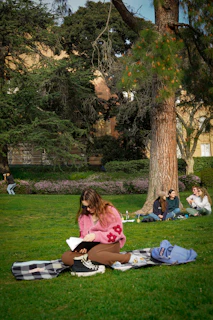 a woman sitting on a blanket reading a book