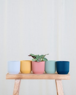 Five pastel-colored plant pots are arranged in a row on a light wooden bench. One of the pots contains a small green plant with broad leaves. The pots feature a ribbed texture and vary in color: light blue, yellow, pink, light green, and dark blue.