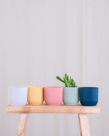 Five ribbed pots in varying pastel shades are arranged in a line on a wooden stool. From left to right, the colors transition as follows: white, yellow, pink, green, and blue. A small plant with green succulent leaves grows from the fourth pot. The background is a soft beige color, enhancing the minimalistic and serene composition.