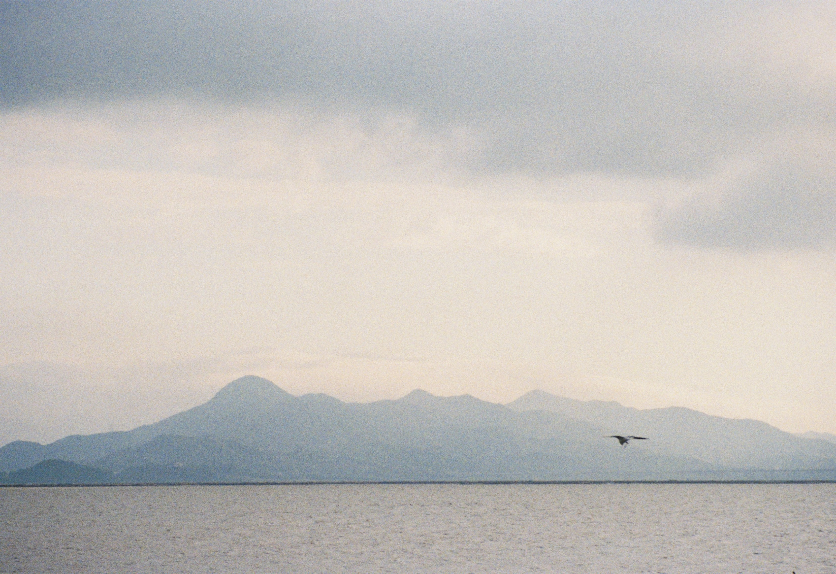 Photo by feilingyujing