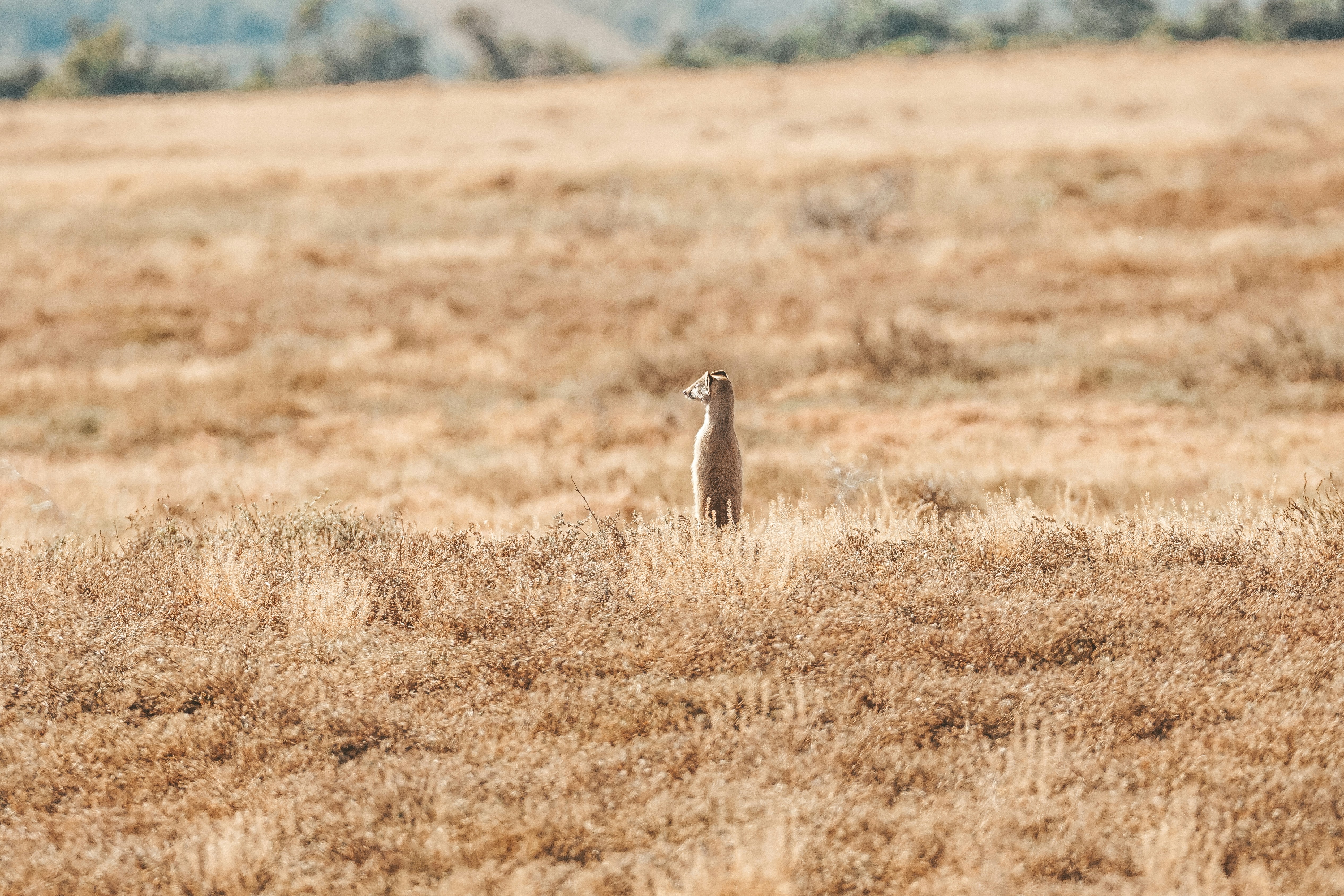 Photo by filizelaerts