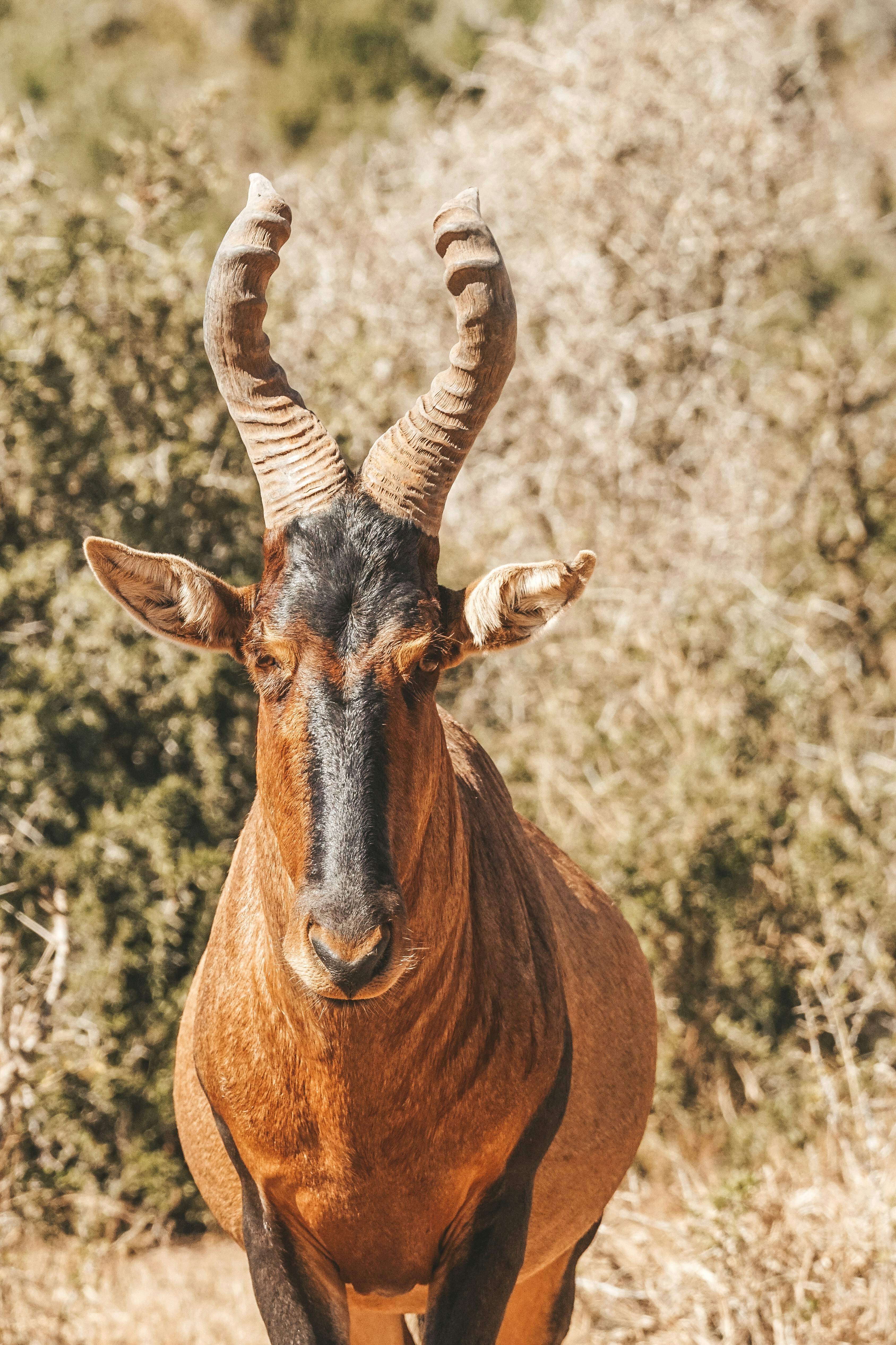 The Marine Section: Whales and Great Whites