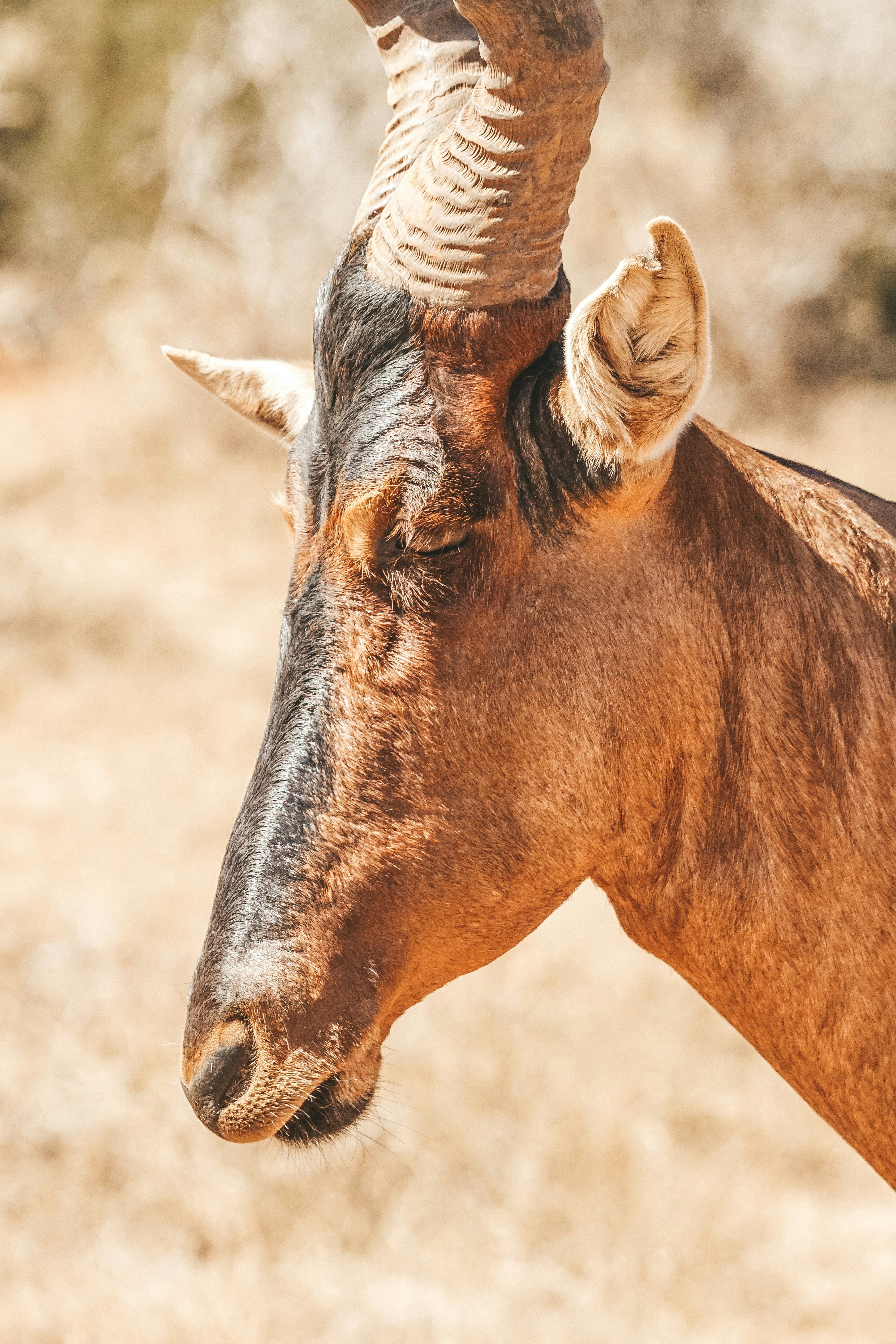 Photo by filizelaerts