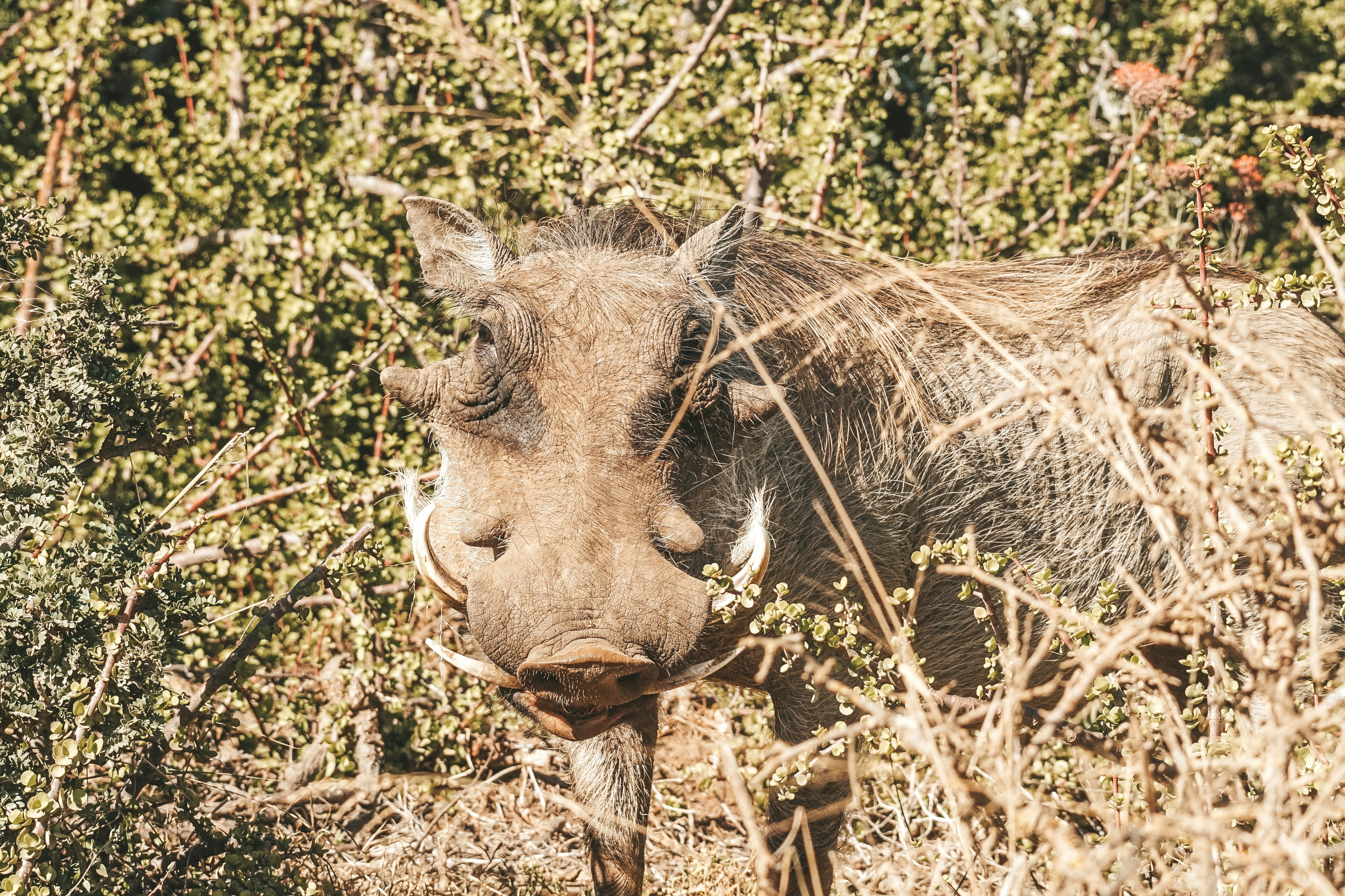 Photo by filizelaerts