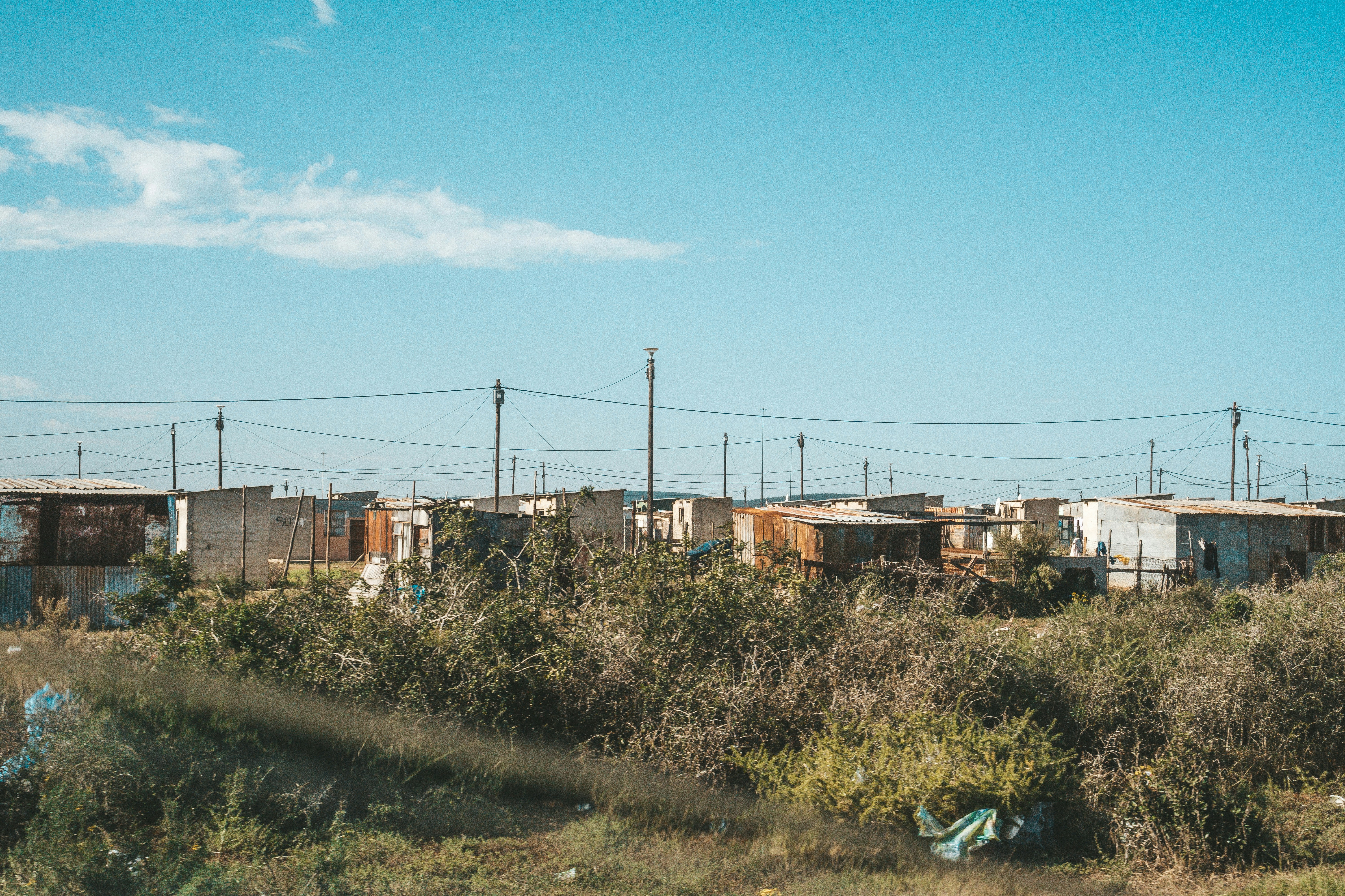 Photo by filizelaerts