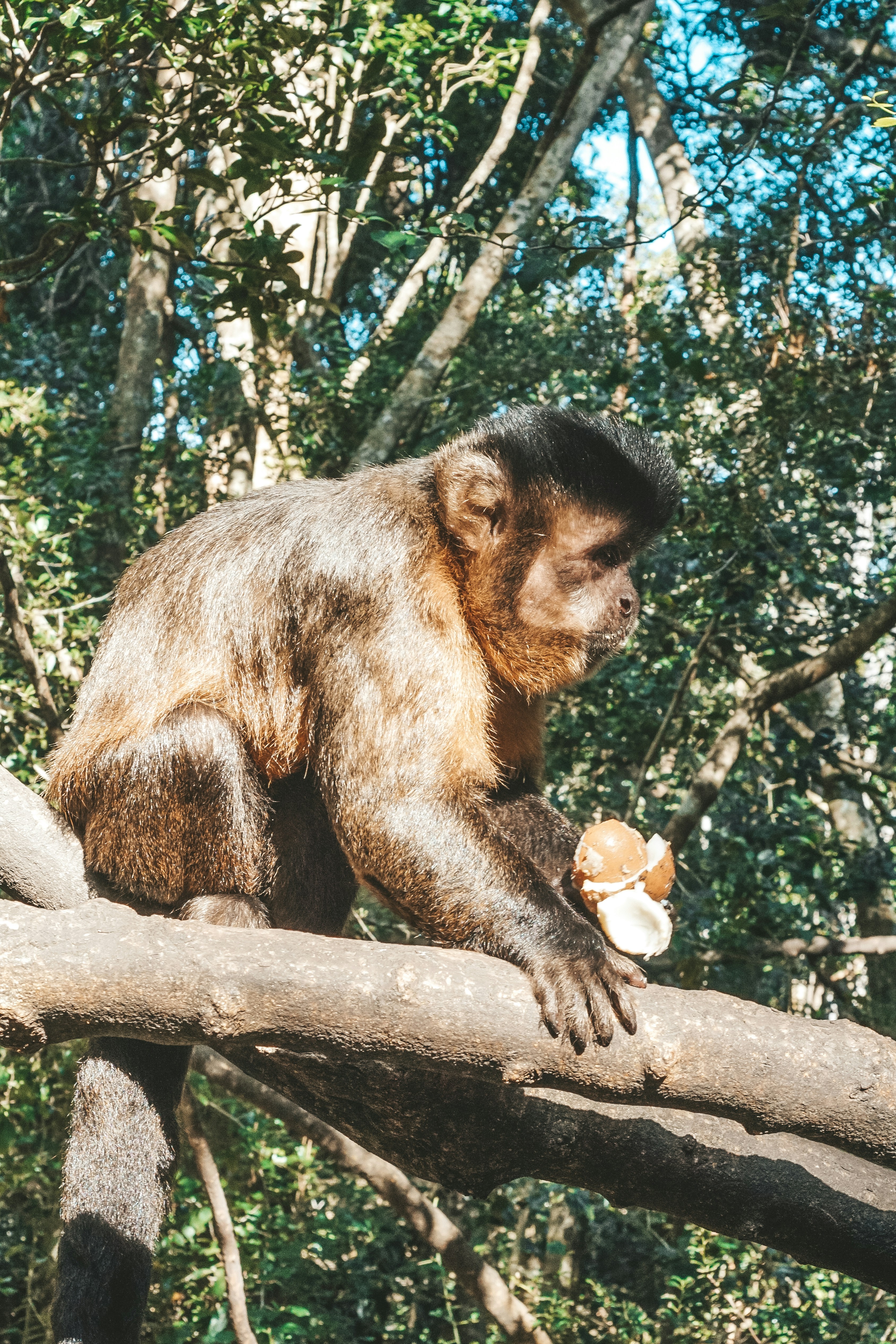 Photo by filizelaerts