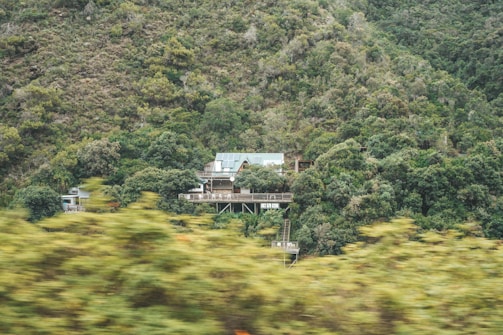 A house with a modern design is nestled into a lush, green forested hillside. The structure features large windows and multiple levels with wooden balconies. The surrounding vegetation is dense, and the area appears tranquil and remote. The foreground contains blurred greenery, suggesting grass or shrubs, which adds depth and movement to the scene.
