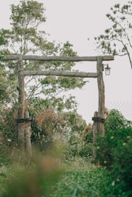 A custom-built wooden arbor surrounded by blooming flowers in a peaceful garden.