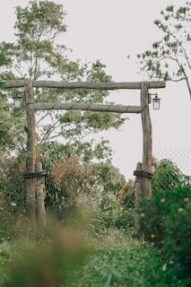 A charming wooden garden arbor surrounded by blooming flowers and climbing vines