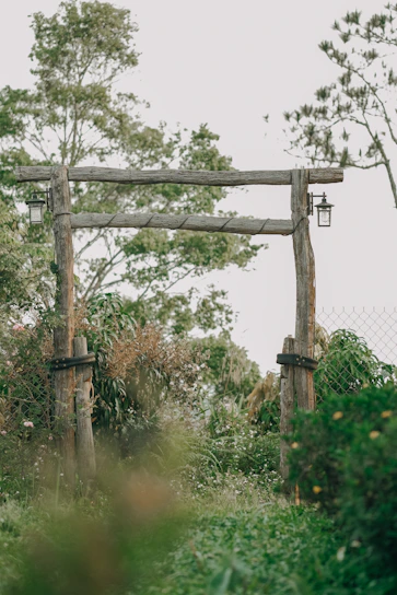 Wooden garden arbor entwined with blooming vines under dappled sunlight in a peaceful backyard