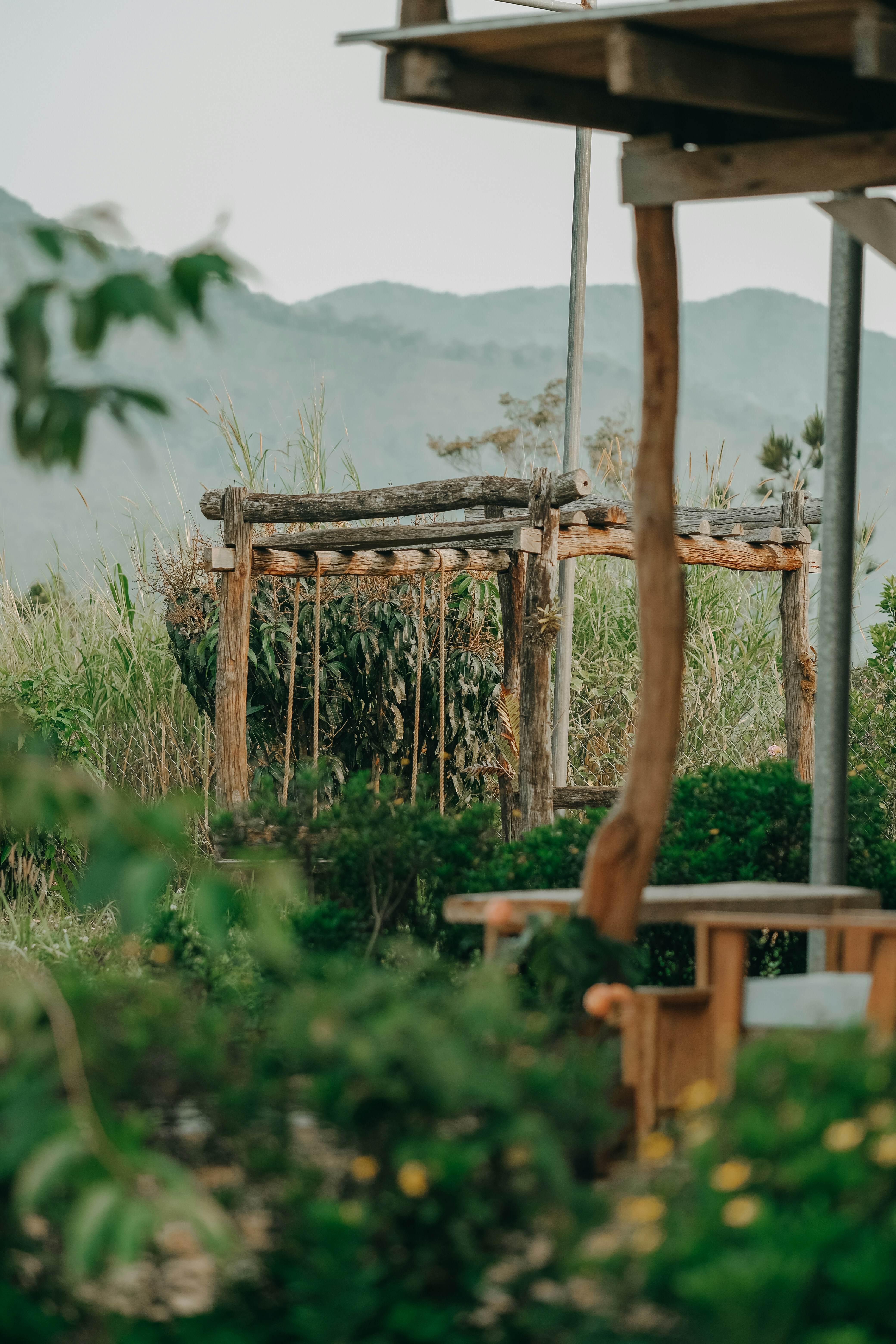 Photo by nguyentrungnguyen