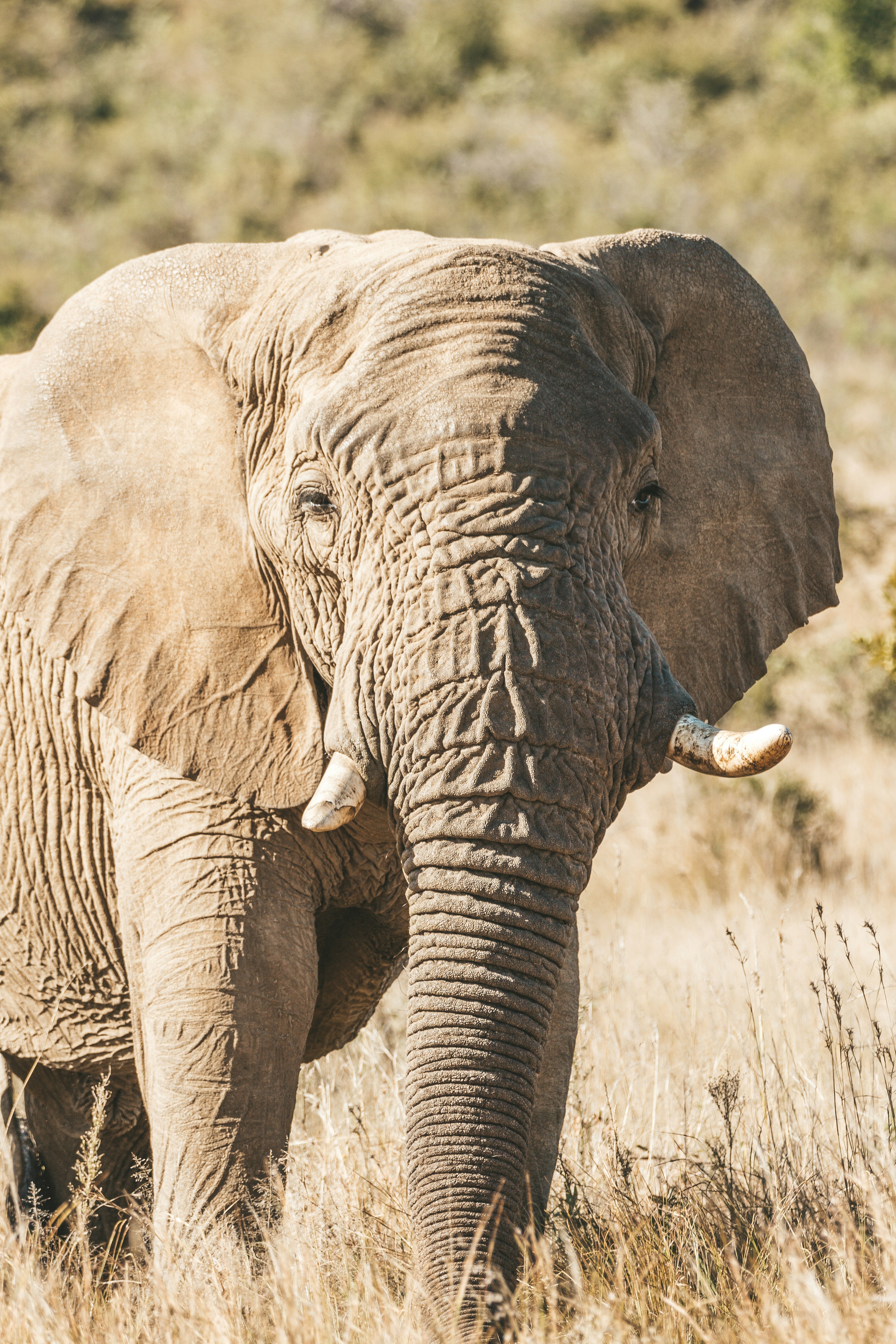 Photo by filizelaerts