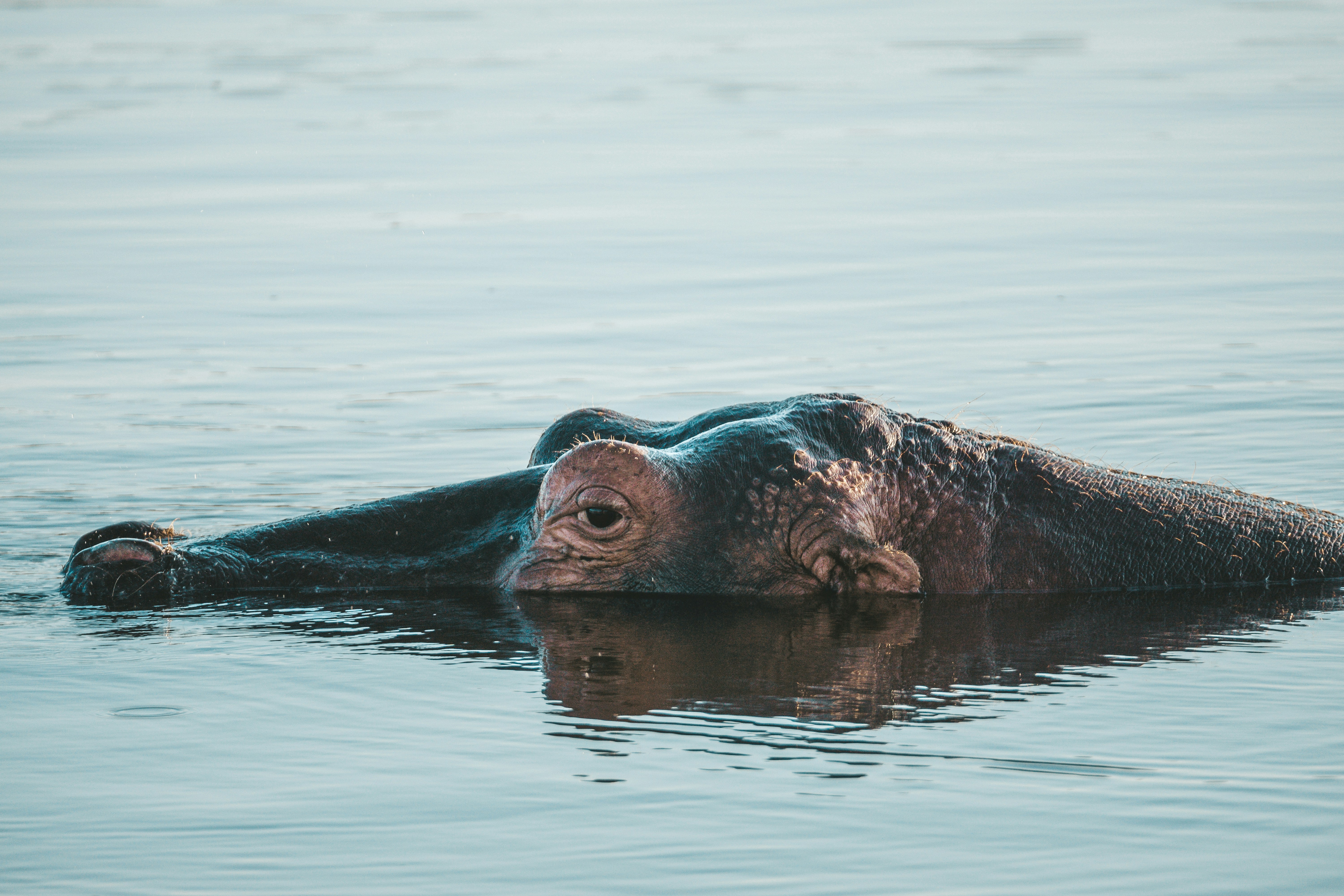 Photo by filizelaerts