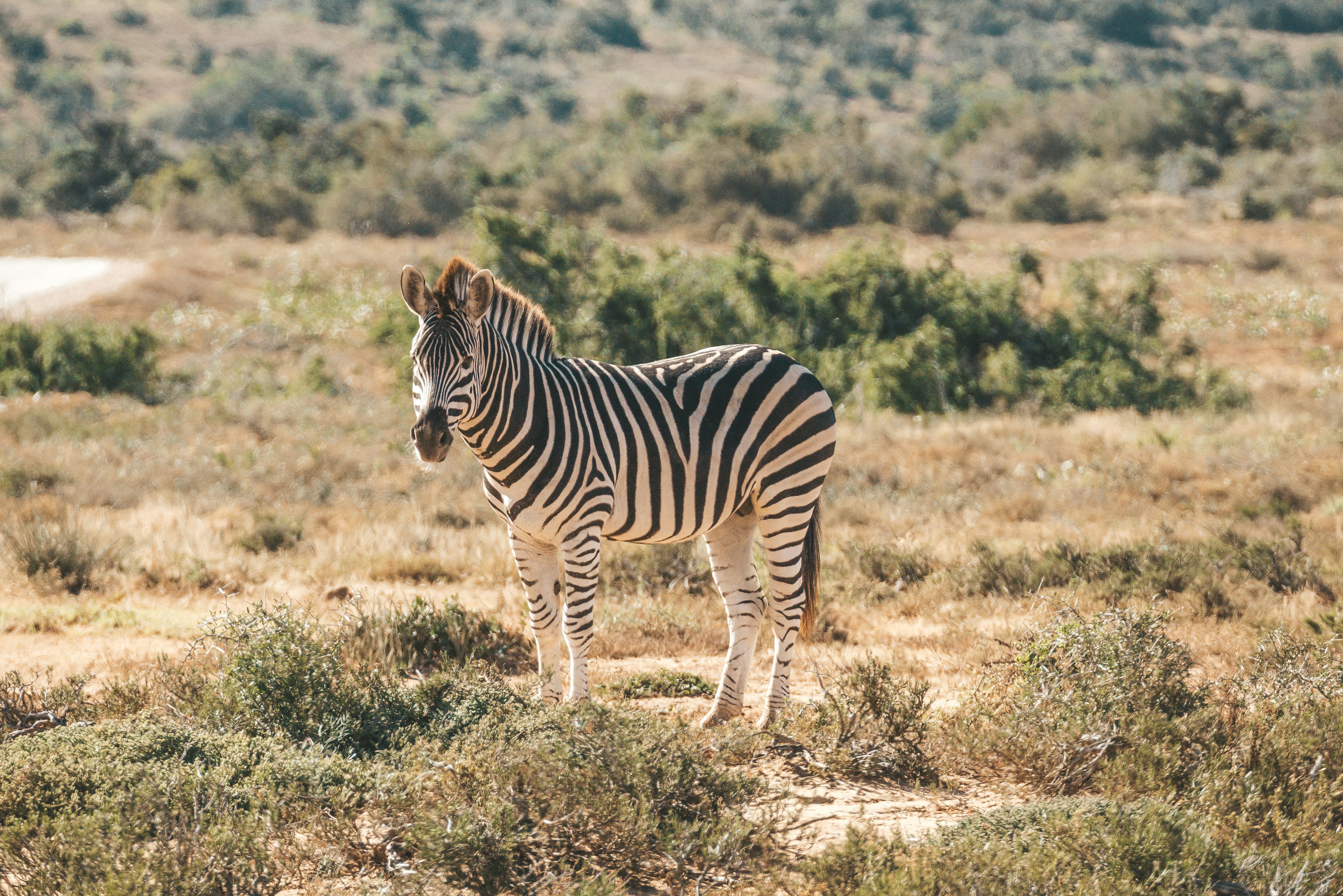 Photo by filizelaerts