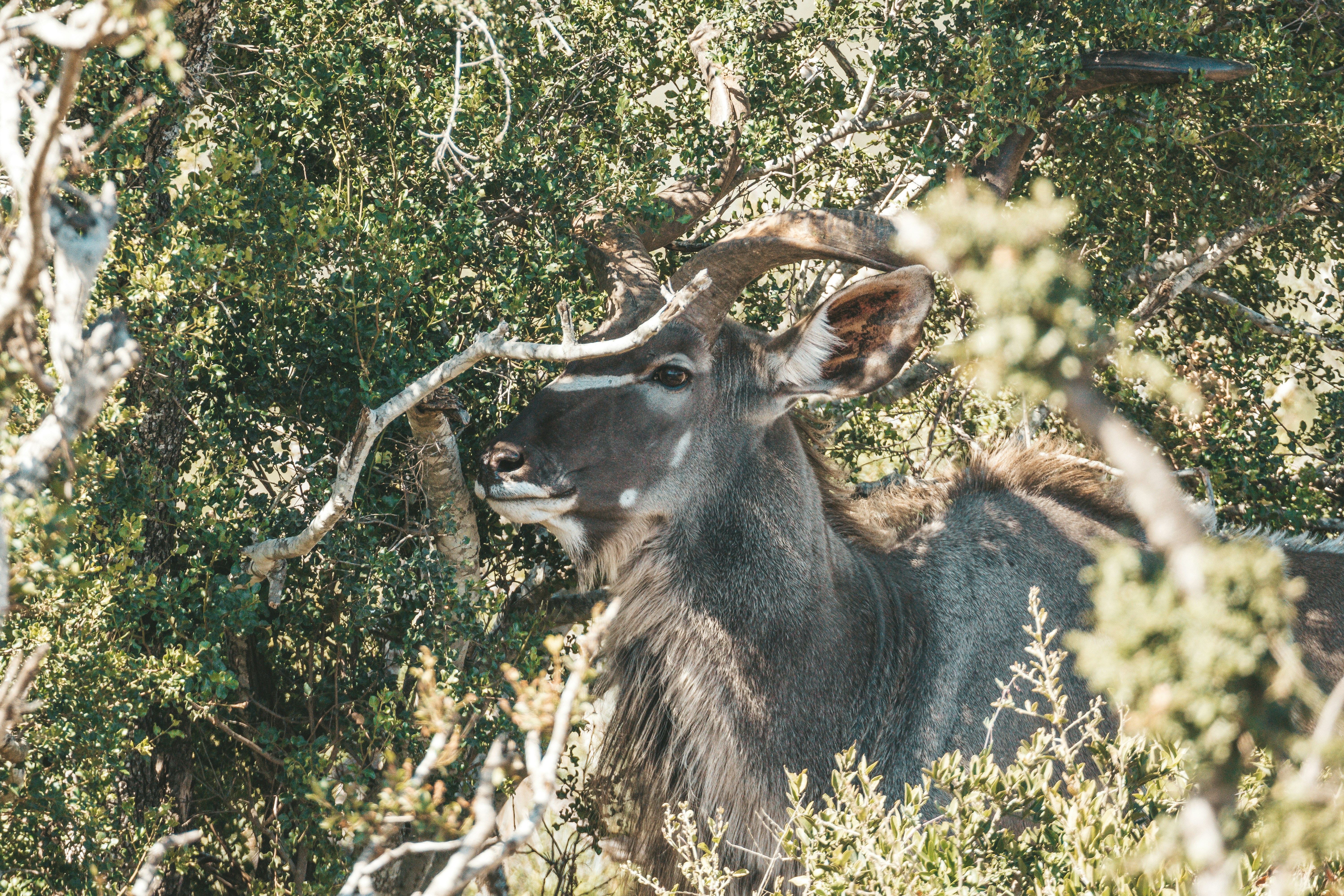 Photo by filizelaerts