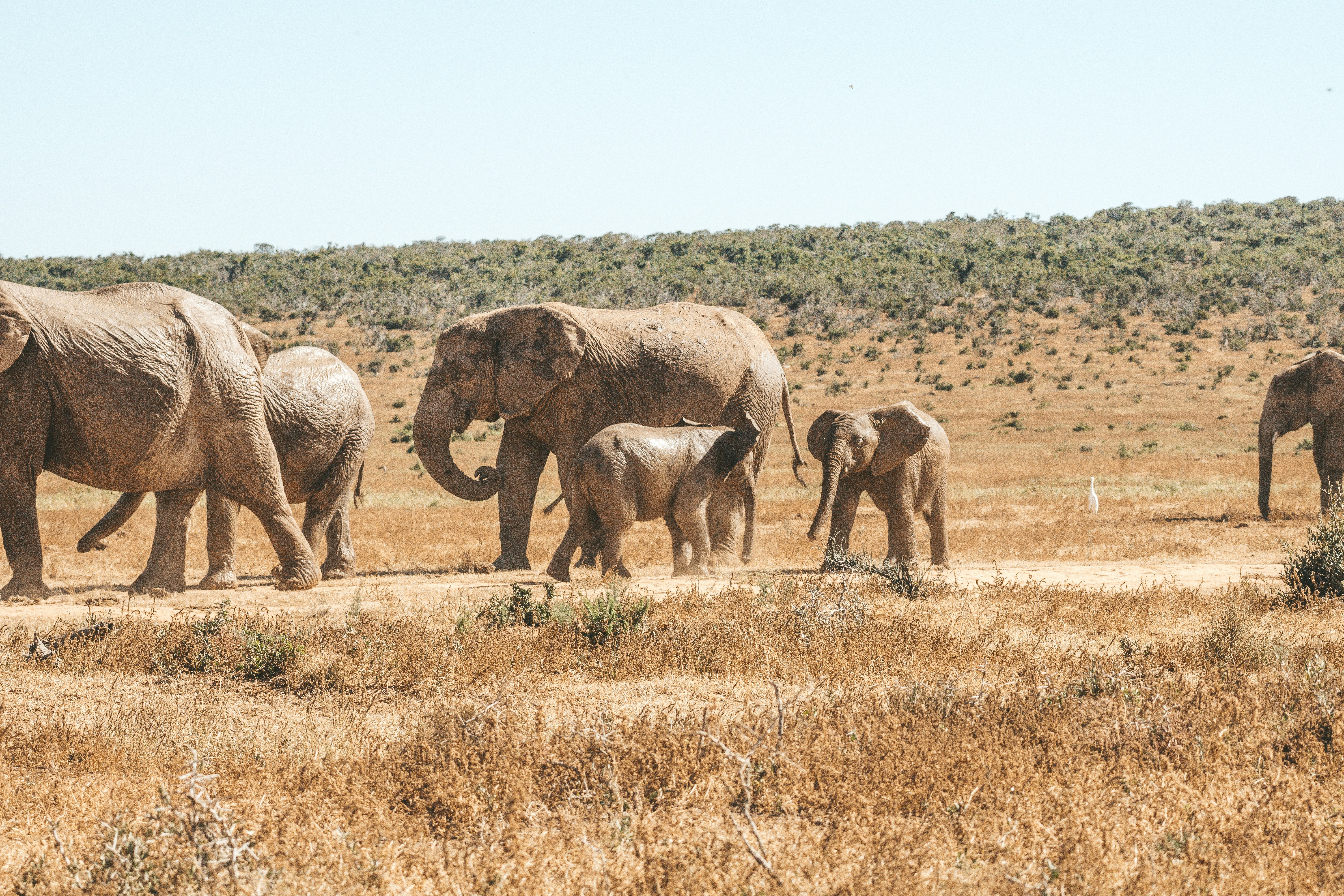 Photo by filizelaerts