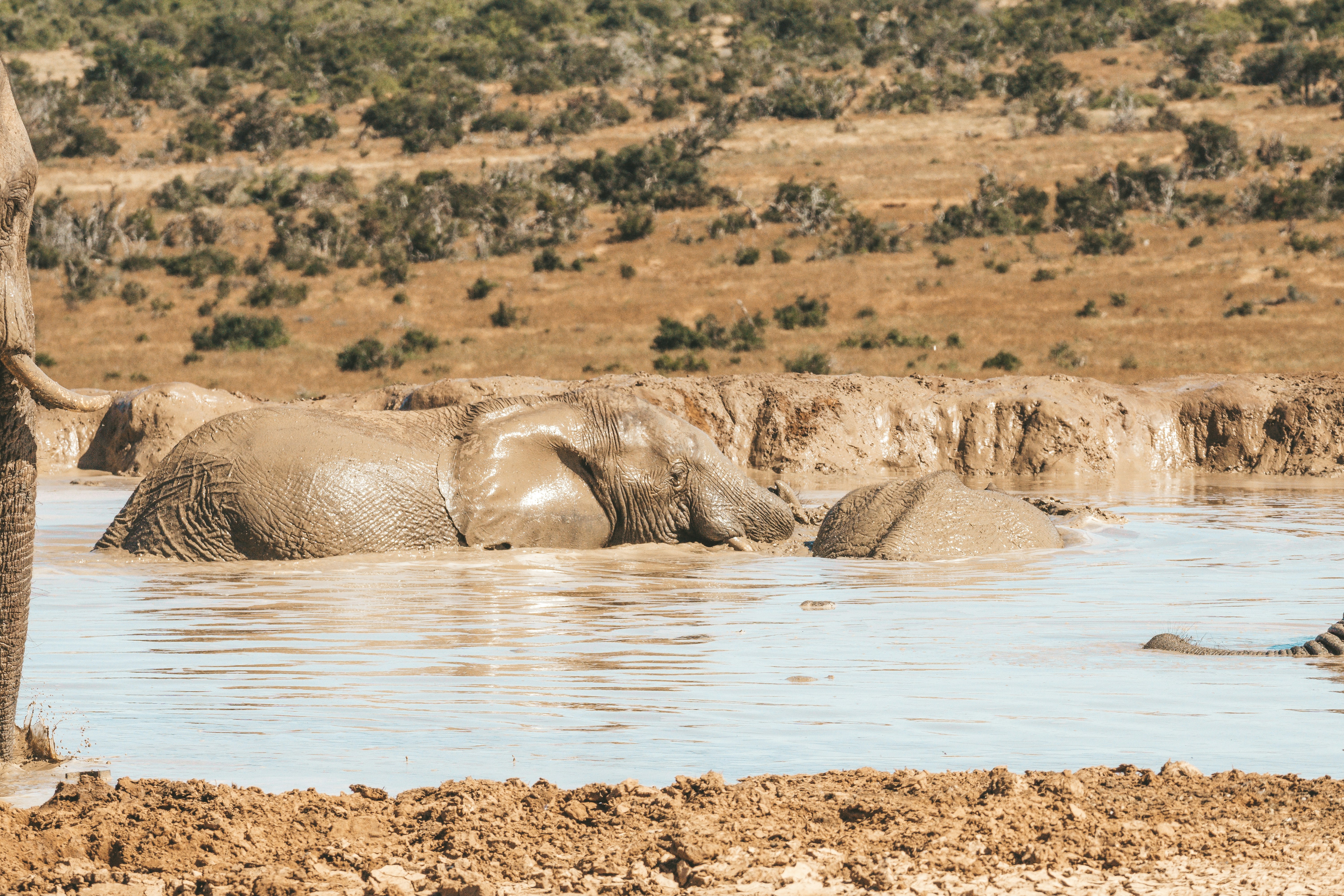 Population boom strains water supply in KZN's Umkhanyakude