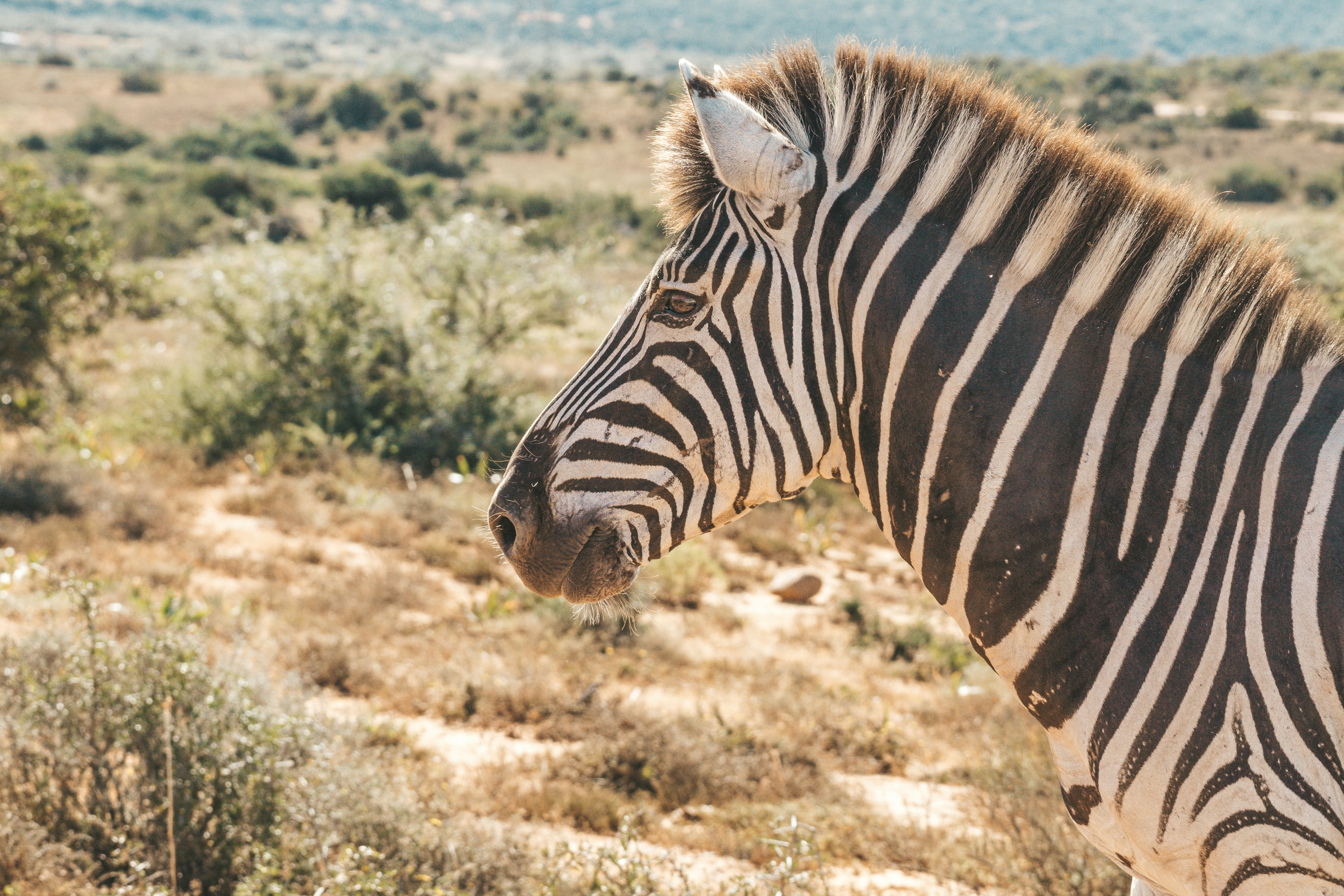 Photo by filizelaerts