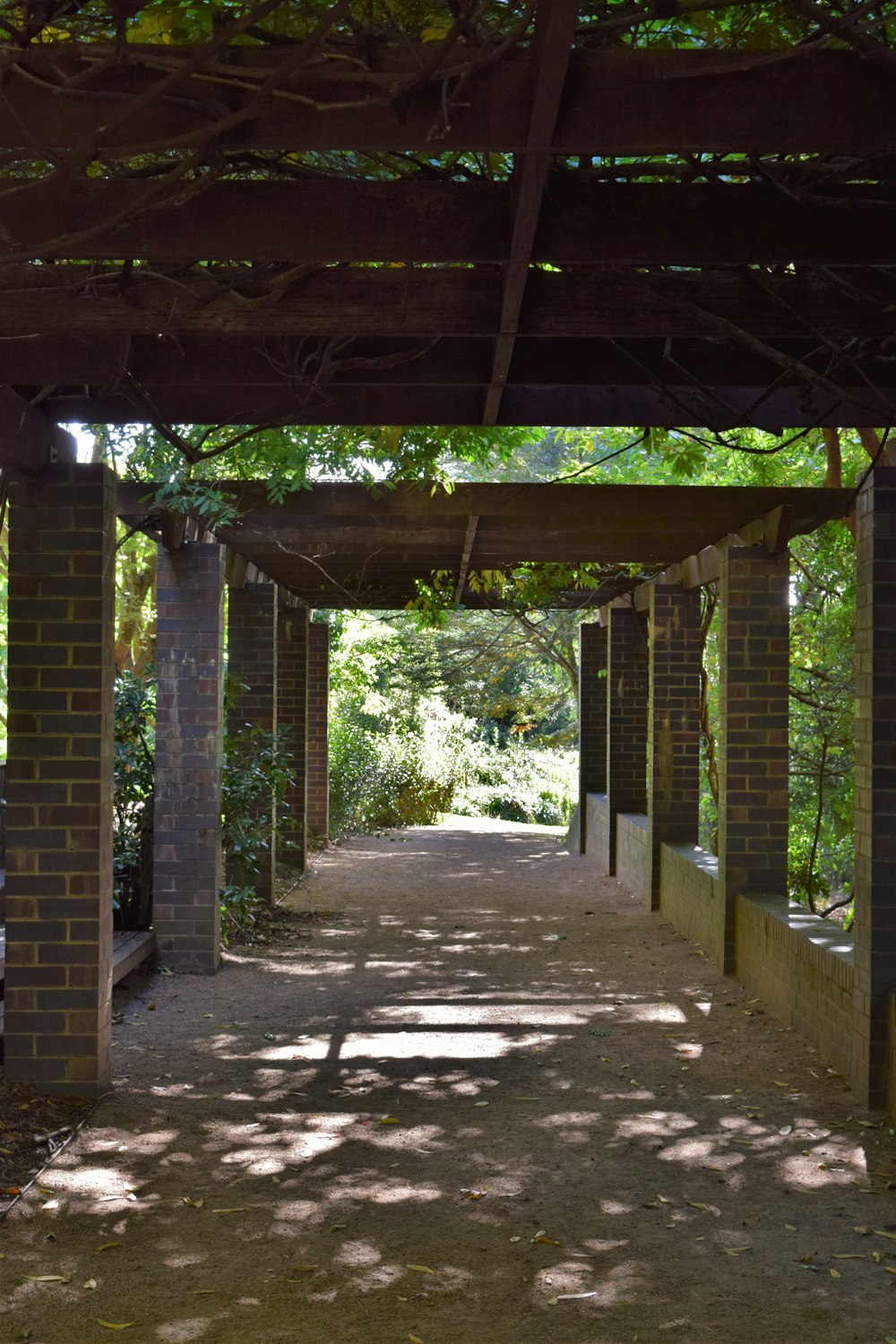 Una pasarela en un parque bordeado de árboles