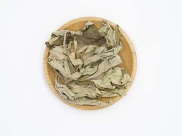 Aromatic patchouli leaves drying under the sun before distillation.