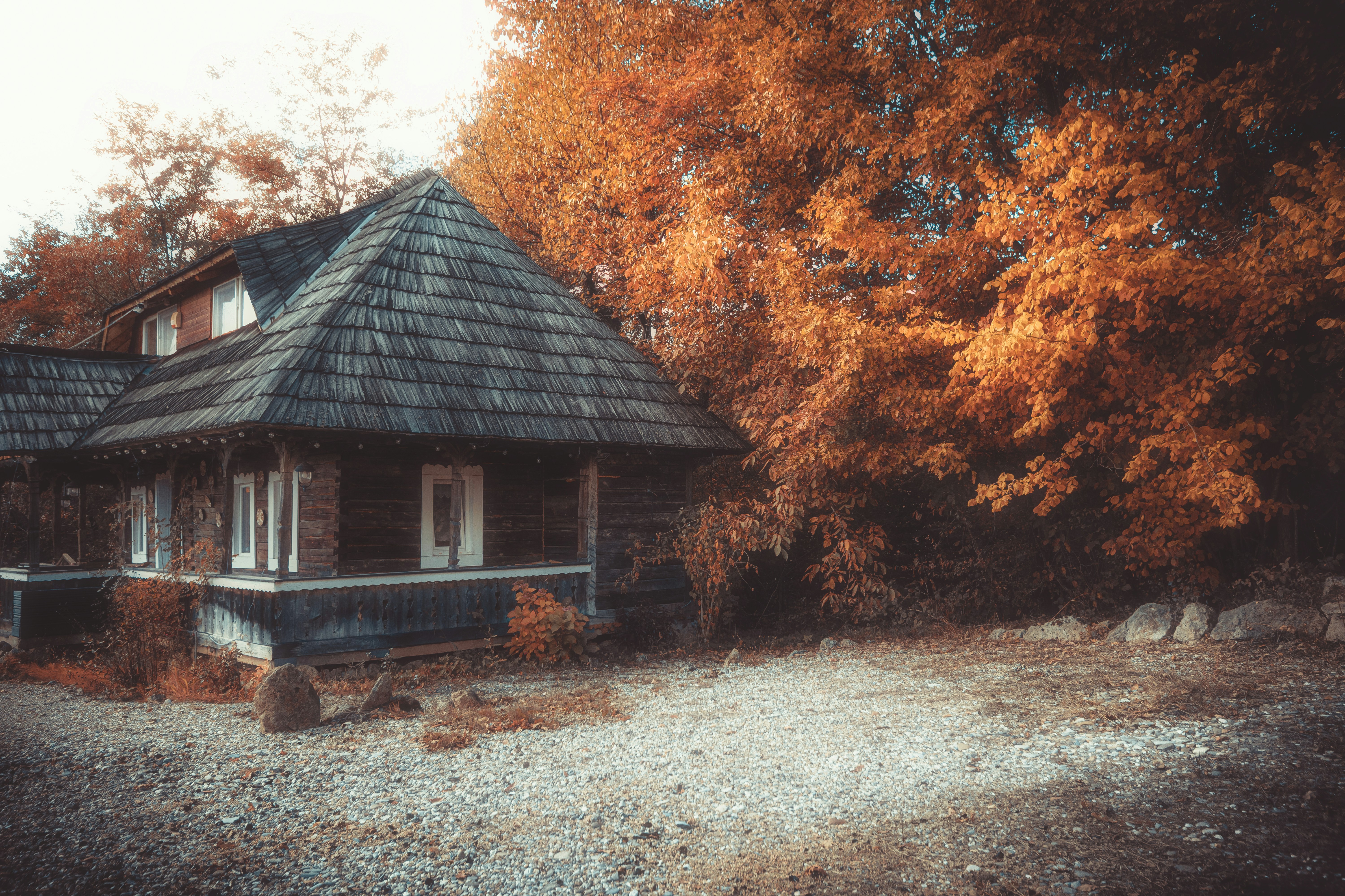 Scrolling Blog: October 2023