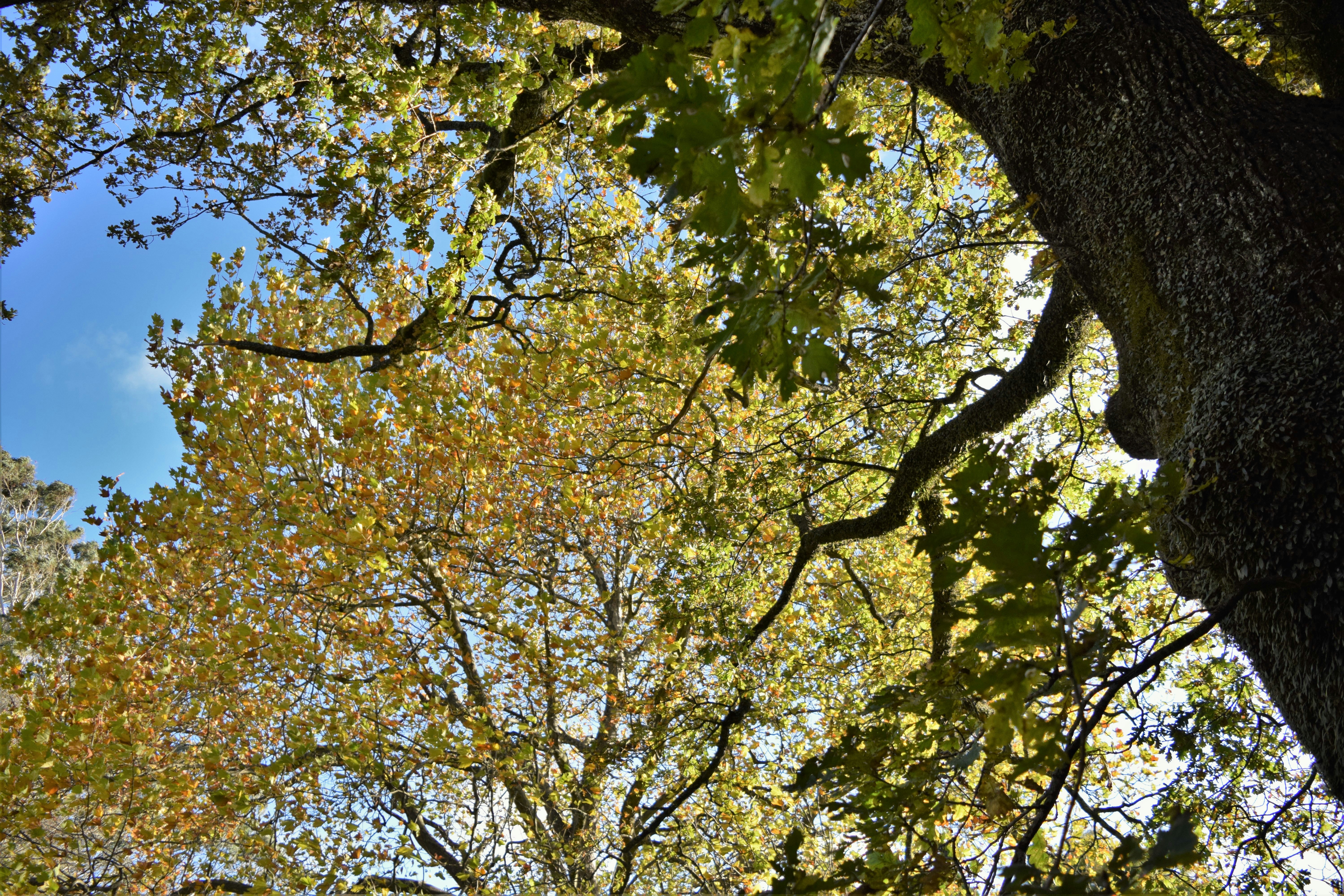 Photo by ch_photography