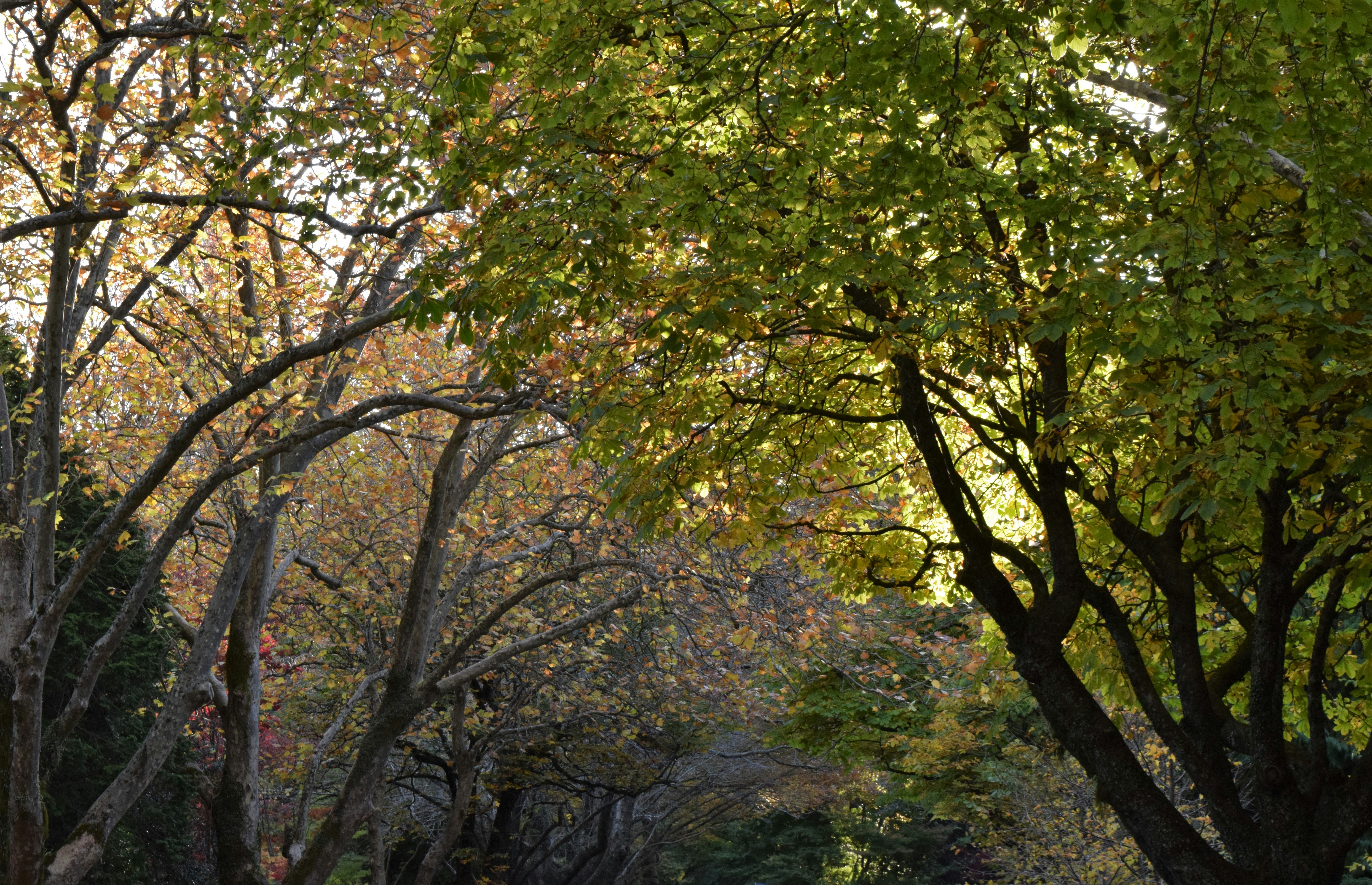 Photo by ch_photography