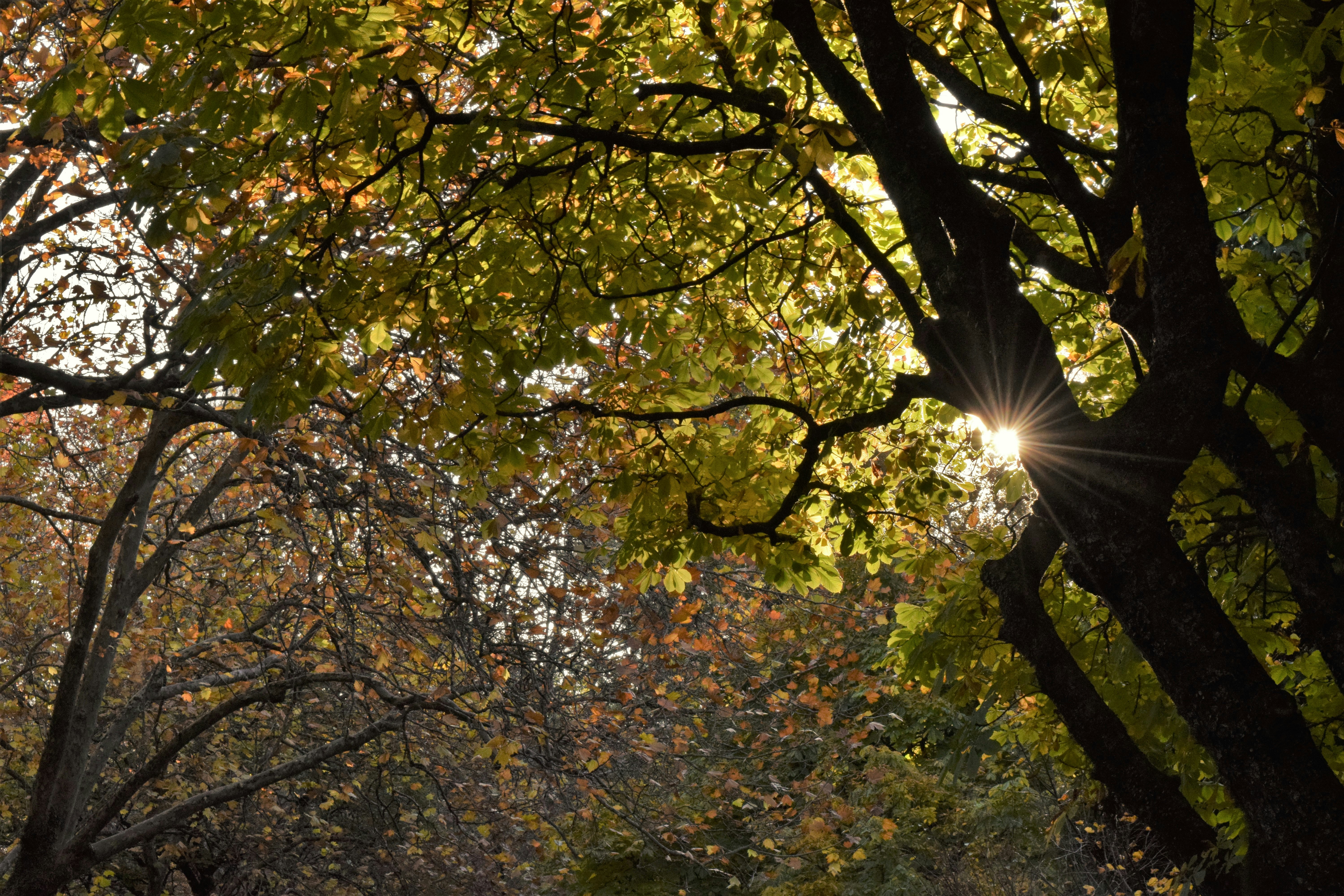 Photo by ch_photography