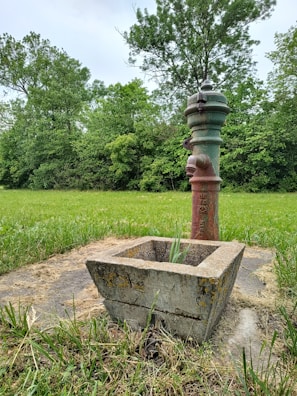 An old water pump standing in a grassy field surrounded by dense greenery, including several trees. The pump is made of metal with a rustic appearance and is connected to a concrete base.