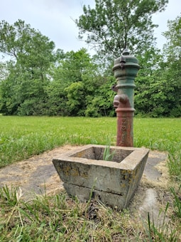 An old water pump standing in a grassy field surrounded by dense greenery, including several trees. The pump is made of metal with a rustic appearance and is connected to a concrete base.