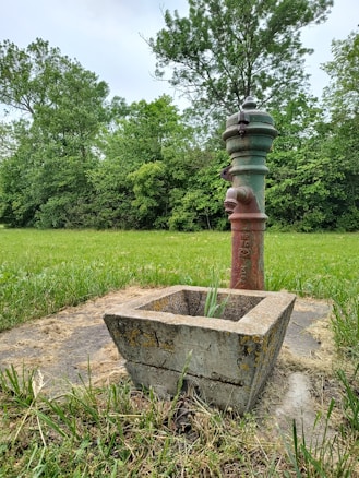 An old water pump standing in a grassy field surrounded by dense greenery, including several trees. The pump is made of metal with a rustic appearance and is connected to a concrete base.