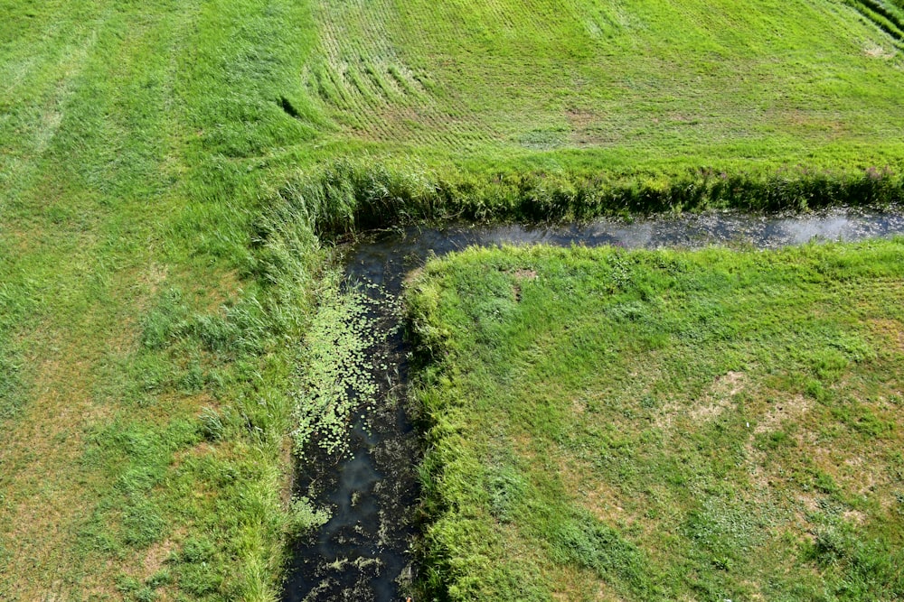 eine Luftaufnahme eines grasbewachsenen Feldes, durch das ein Bach fließt