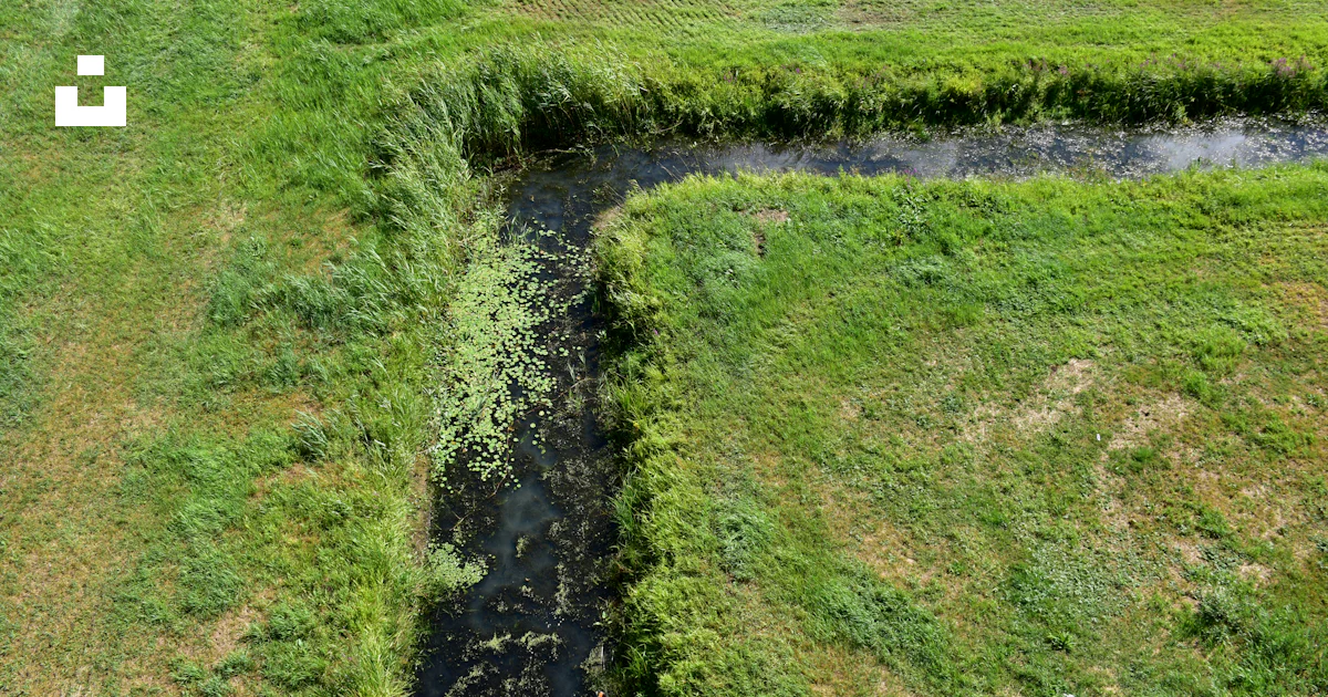 An aerial view of a grassy field with a stream running through it photo ...