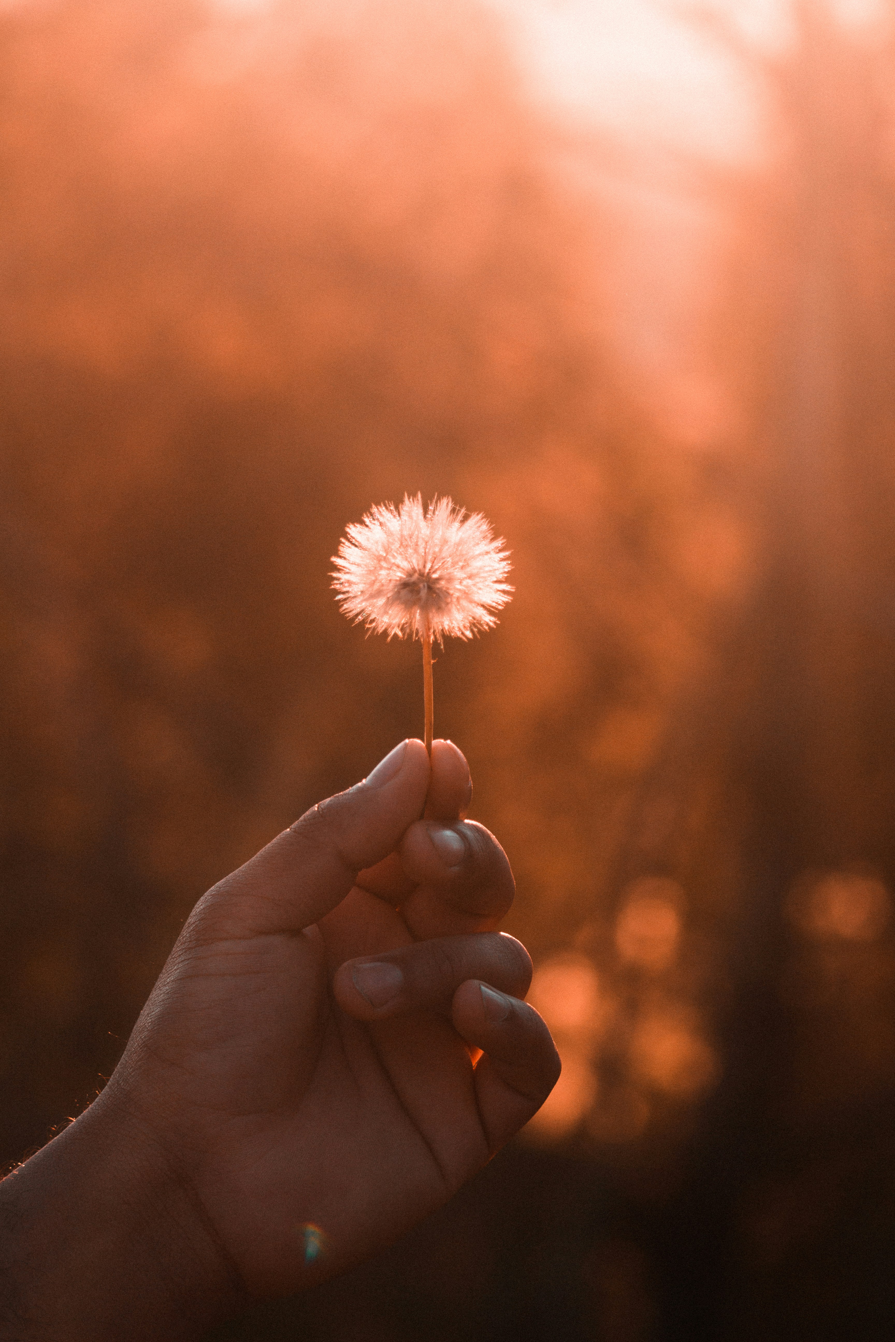 Photo by nahidekon314