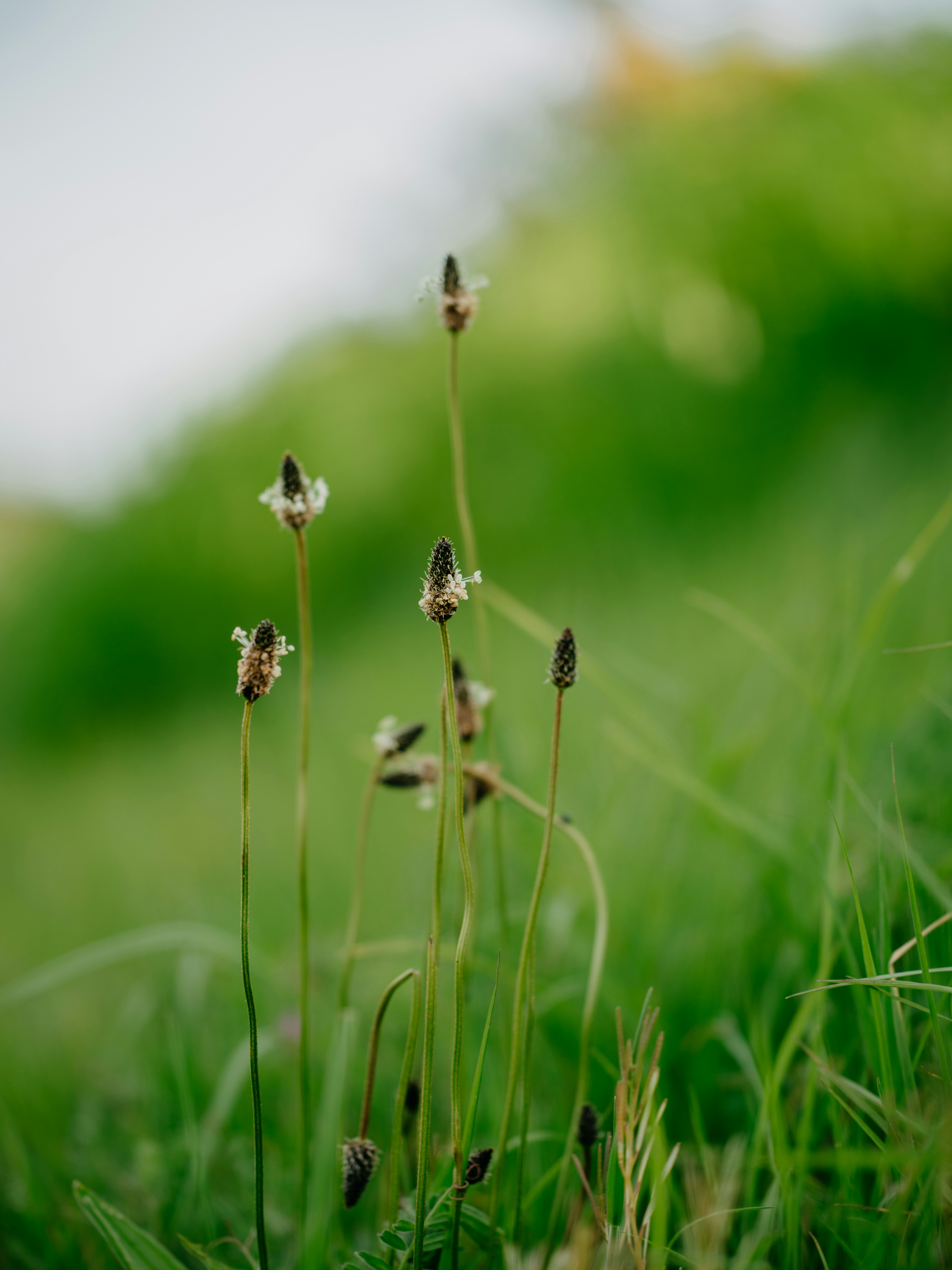 Photo by anniespratt